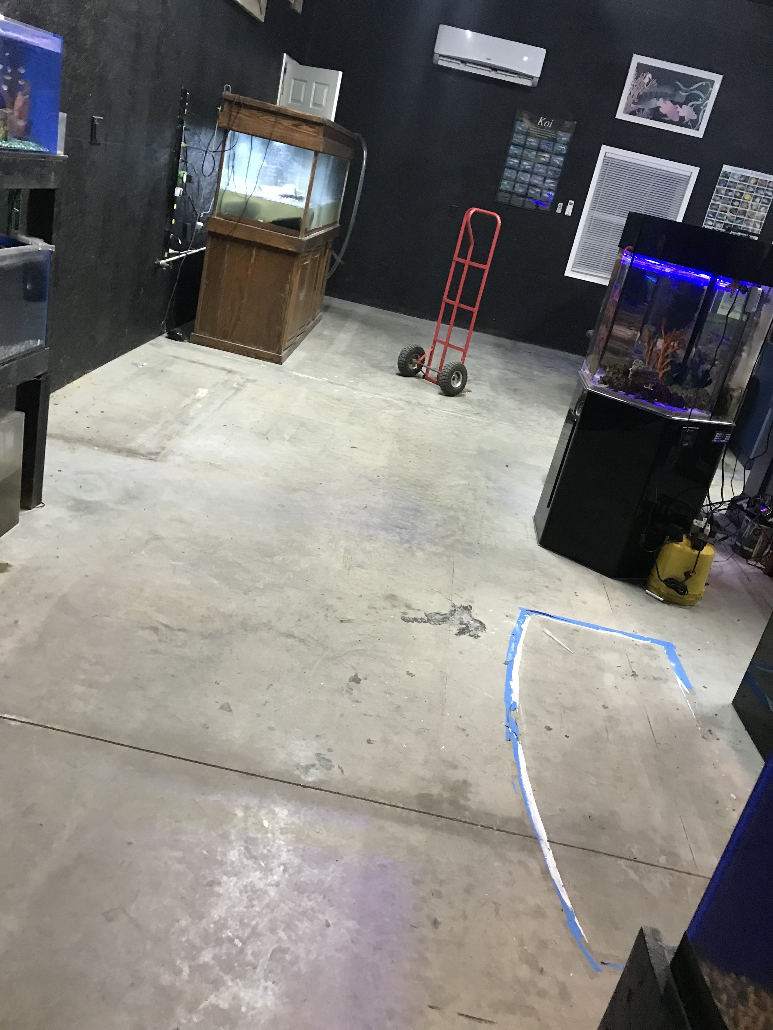 69499790580__353DABBF-BEF2-40E0-B895-104CEBFCD896.jpeg