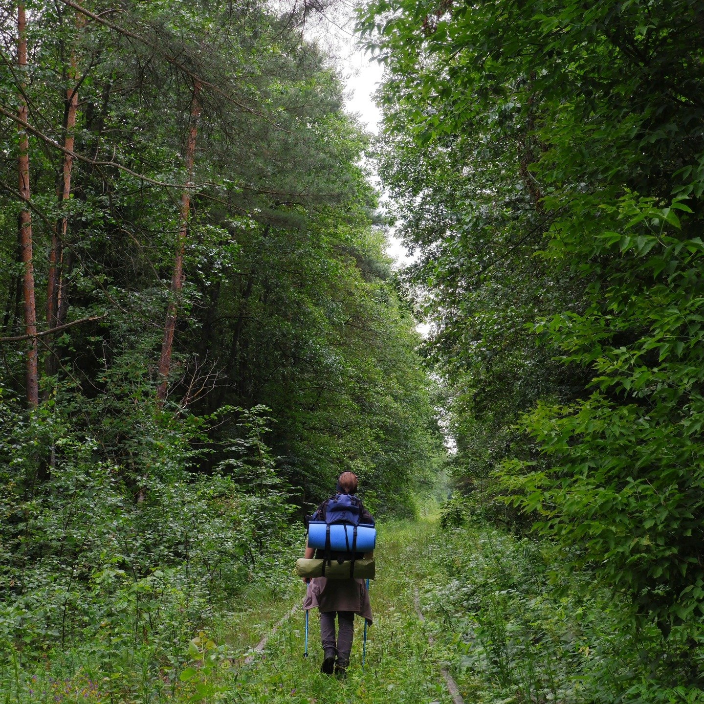 Bringing portraits to life one edit at a time ✨
Here&rsquo;s a before-and-after using custom color grading and subtle filters to enhance lighting, detail, and mood &mdash; without losing the natural look.
If you want your photos polished, stylized, o