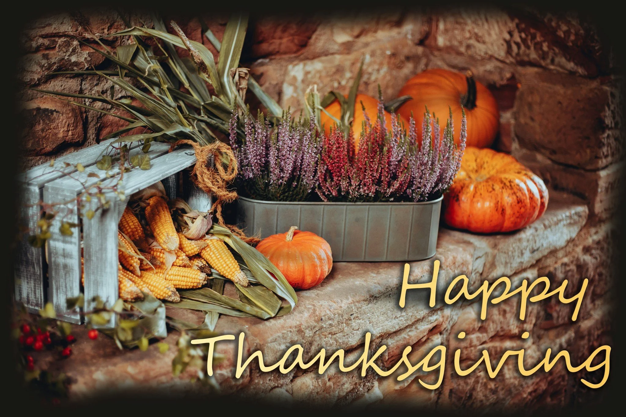 We wish everyone a happy thanksgiving! With thanks in order, I'd like to thank everyone for checking out our website and look forward to a good Christmas 

friendly reminder our holiday still is still ongoing with 15% discounts until January 6th

Lea