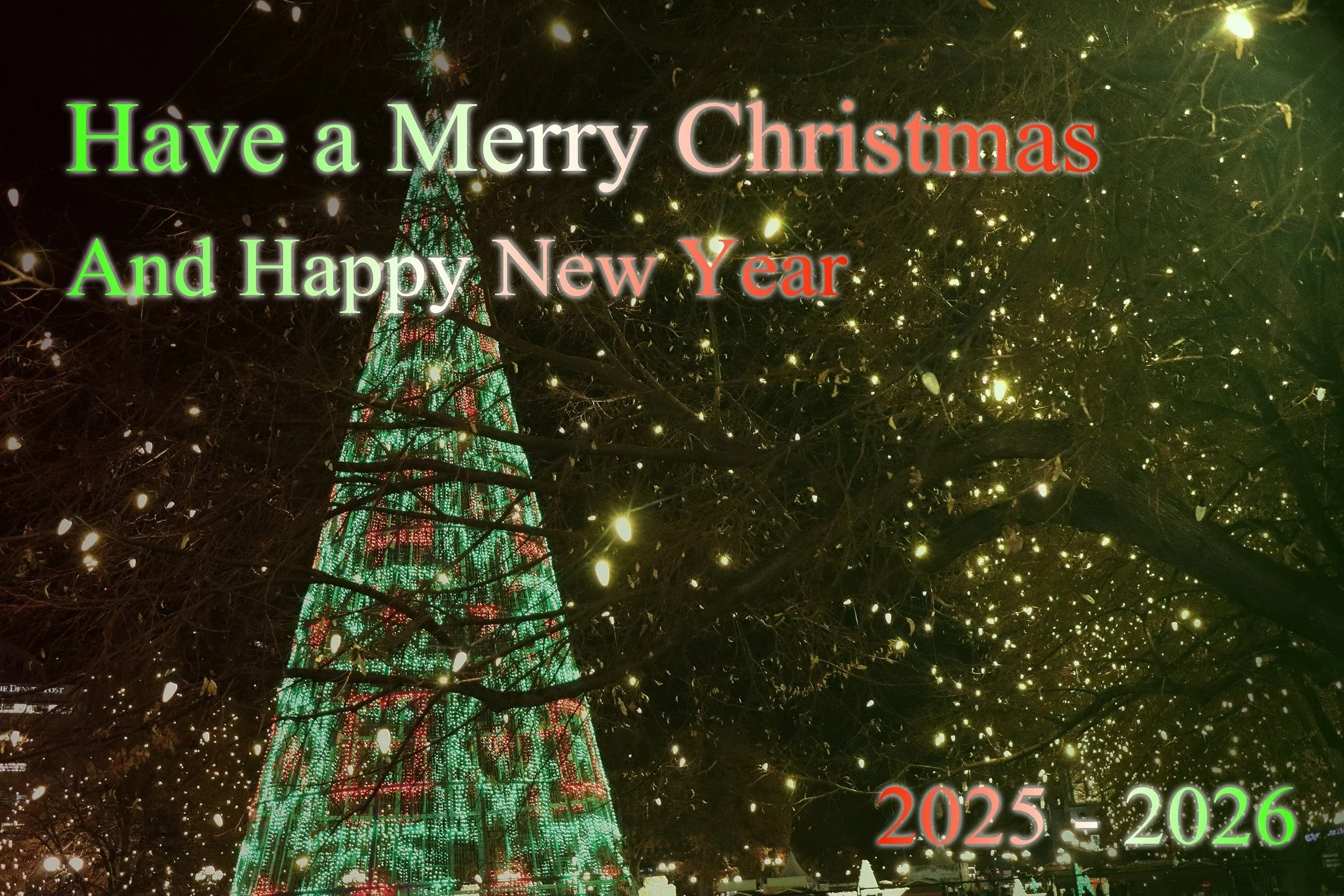 Merry Christmas and a Happy New Year!! I look forward to seeing what 2026 brings to us 
Explore our site at www.southlightcreations.com
#southlightcreations #christmas2025 #newyear #shoplocal