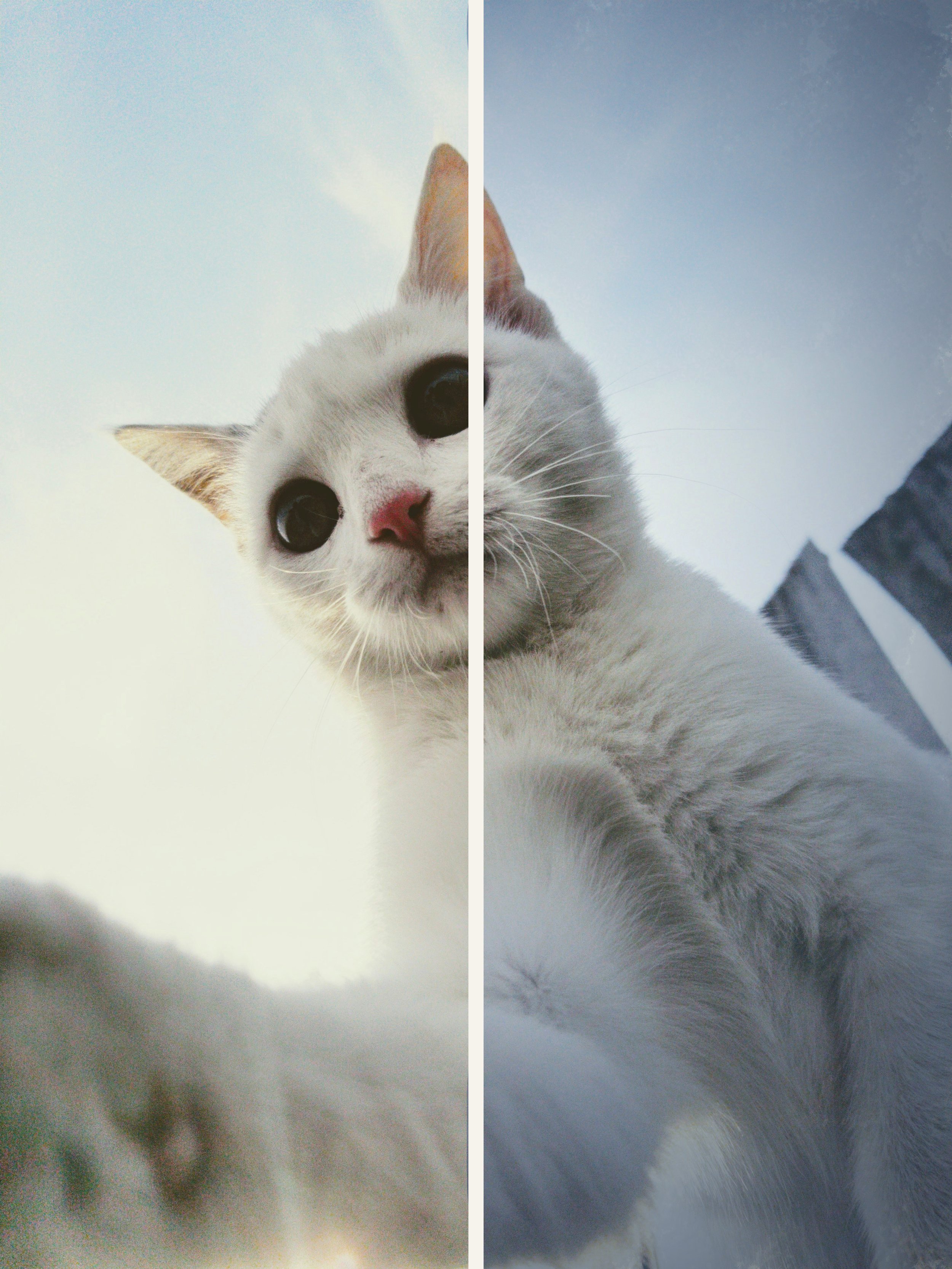 Southlight Urban Fade Before&After.jpg