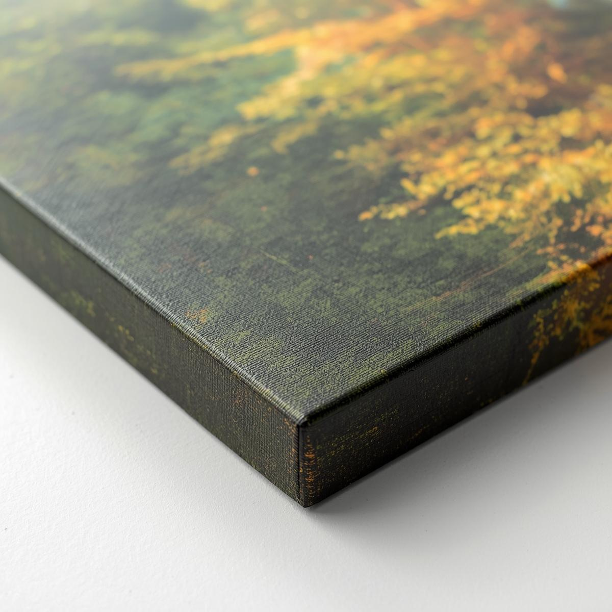 Custom Up Close Classic stretched Canvas