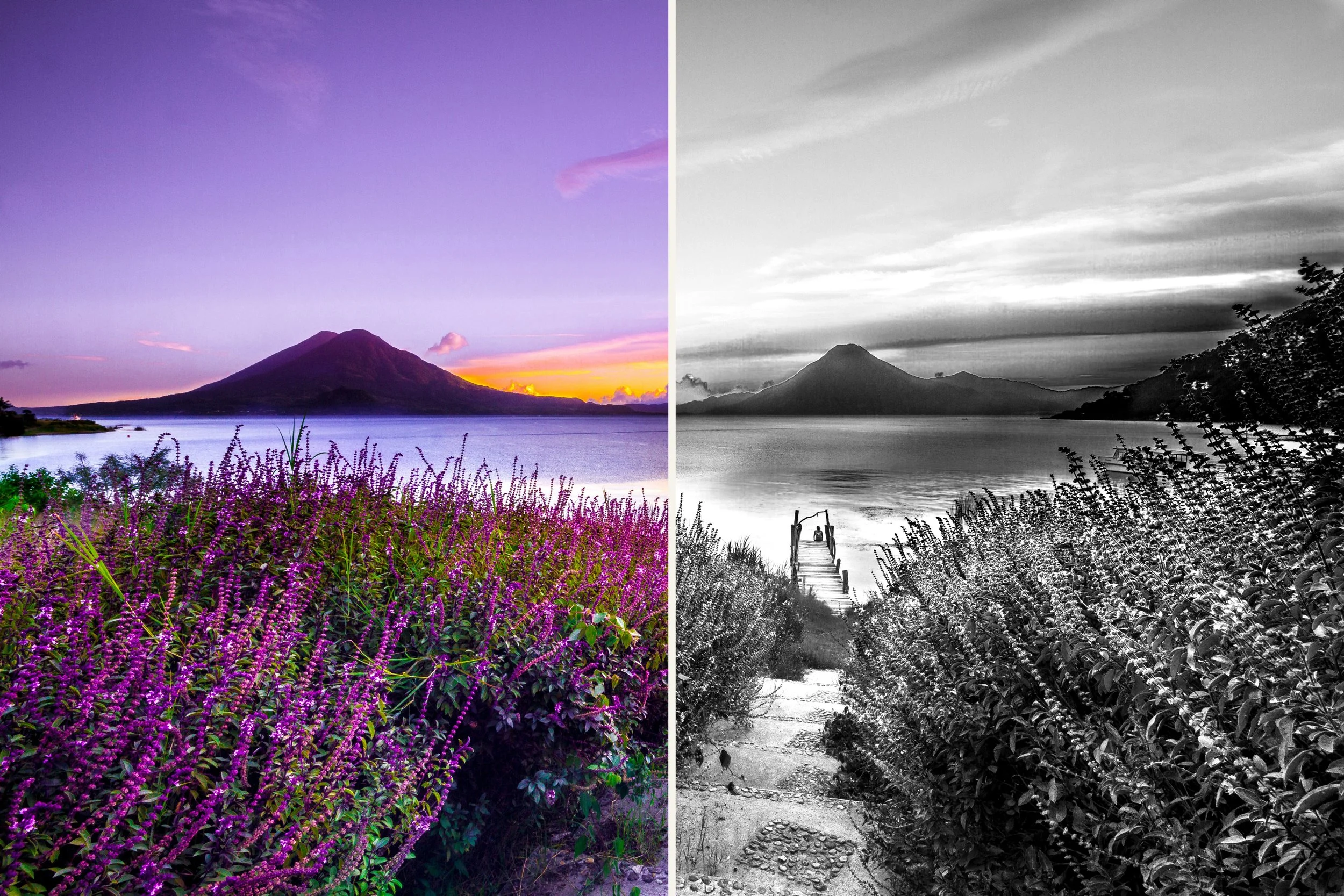 Southlight Monochrome Before&After.jpg