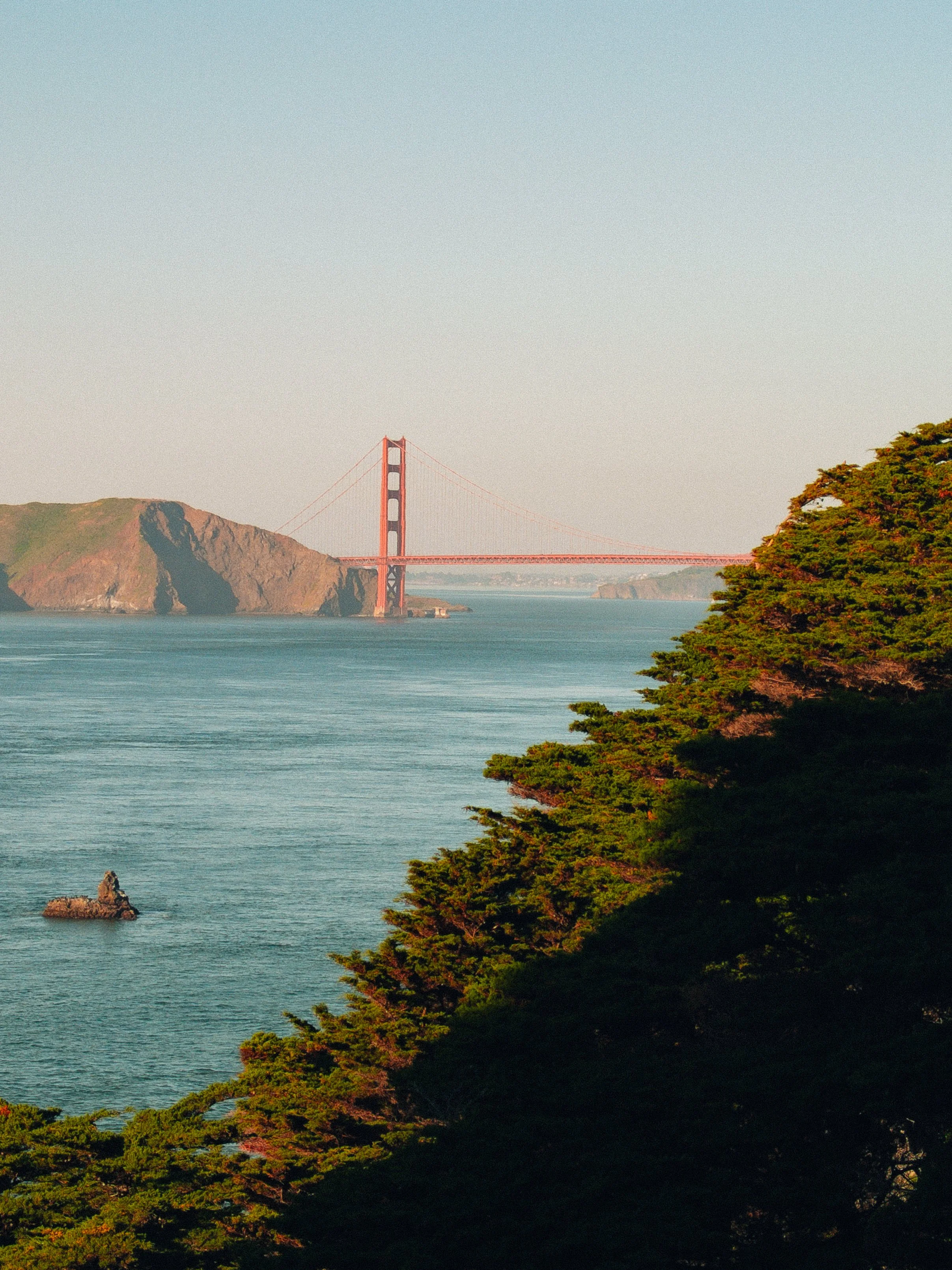 Photo of the Golden Gate Bridge in San Francisco, California, viewed from a hillside with green trees in the foreground and an ocean in the background.