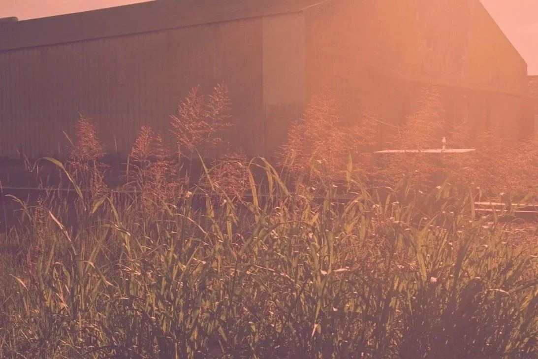 Straw (2014)