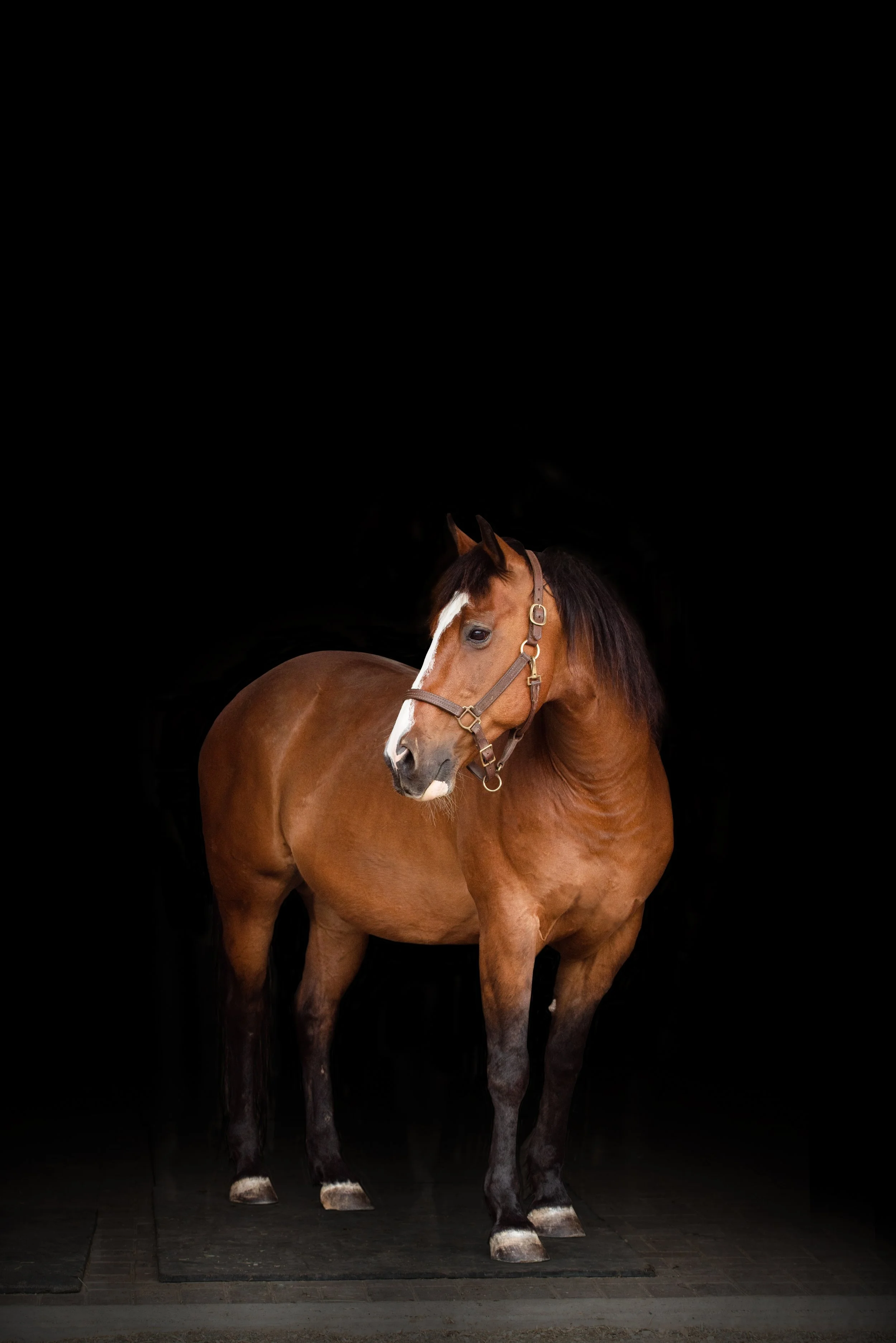 black background photo