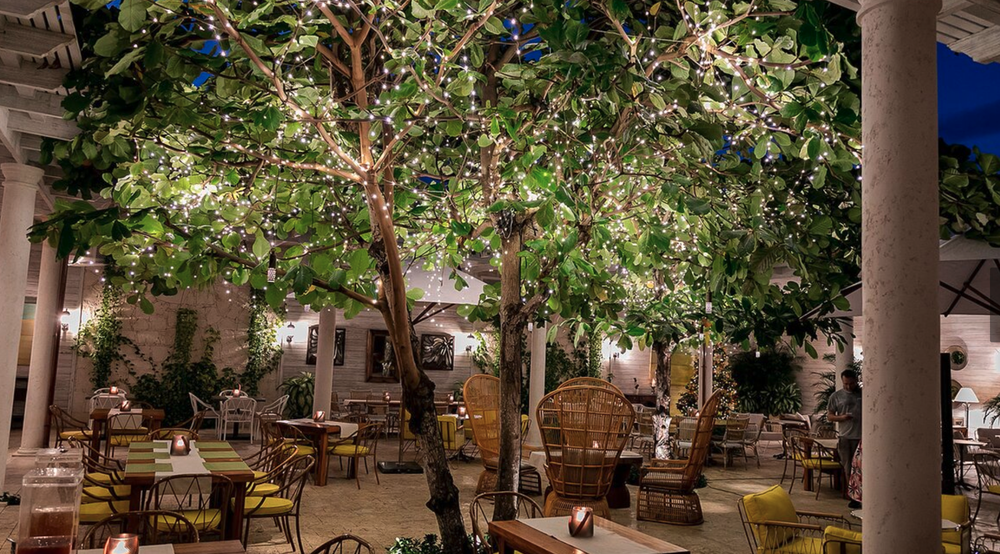 Outdoor dining area at night with trees decorated with string lights, surrounded by various tables and chairs, some with yellow cushions, and people in the background.