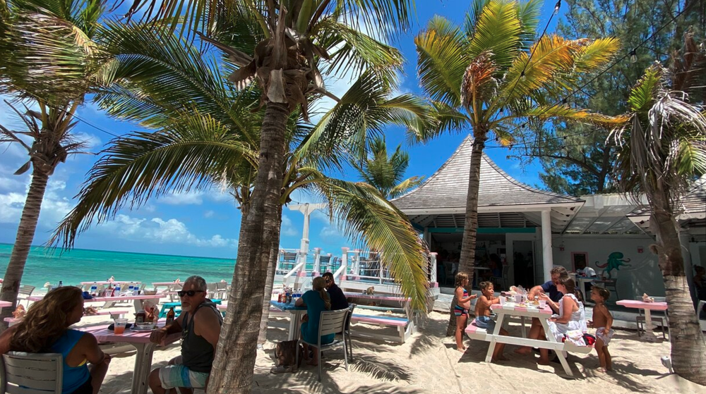Beachside restaurant with palm trees, people dining, and the ocean in the background.