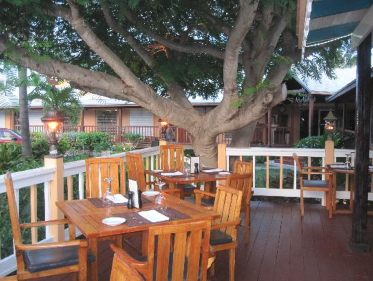 Outdoor restaurant patio with wooden tables and chairs, a large tree providing shade, and lantern-style lights, in a tropical setting.