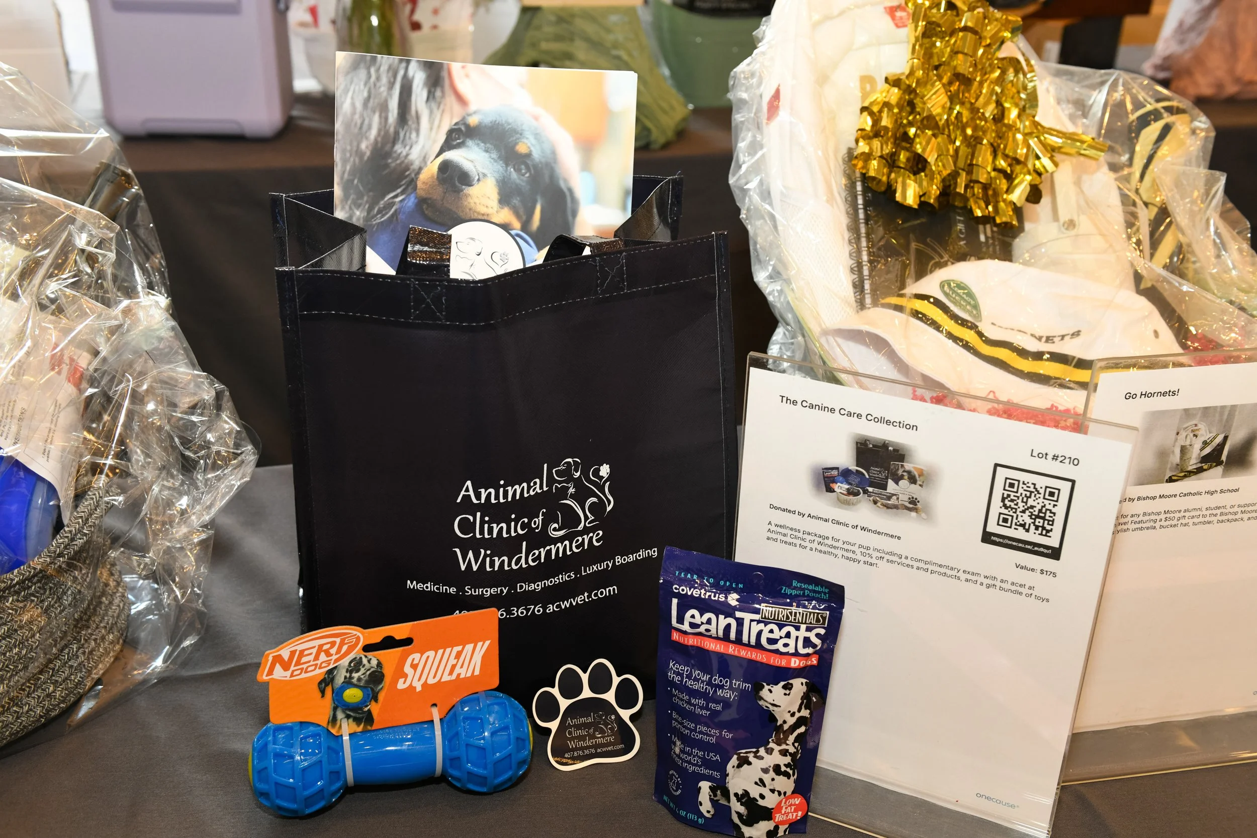 MSC_Fashion Show_202618.jpg