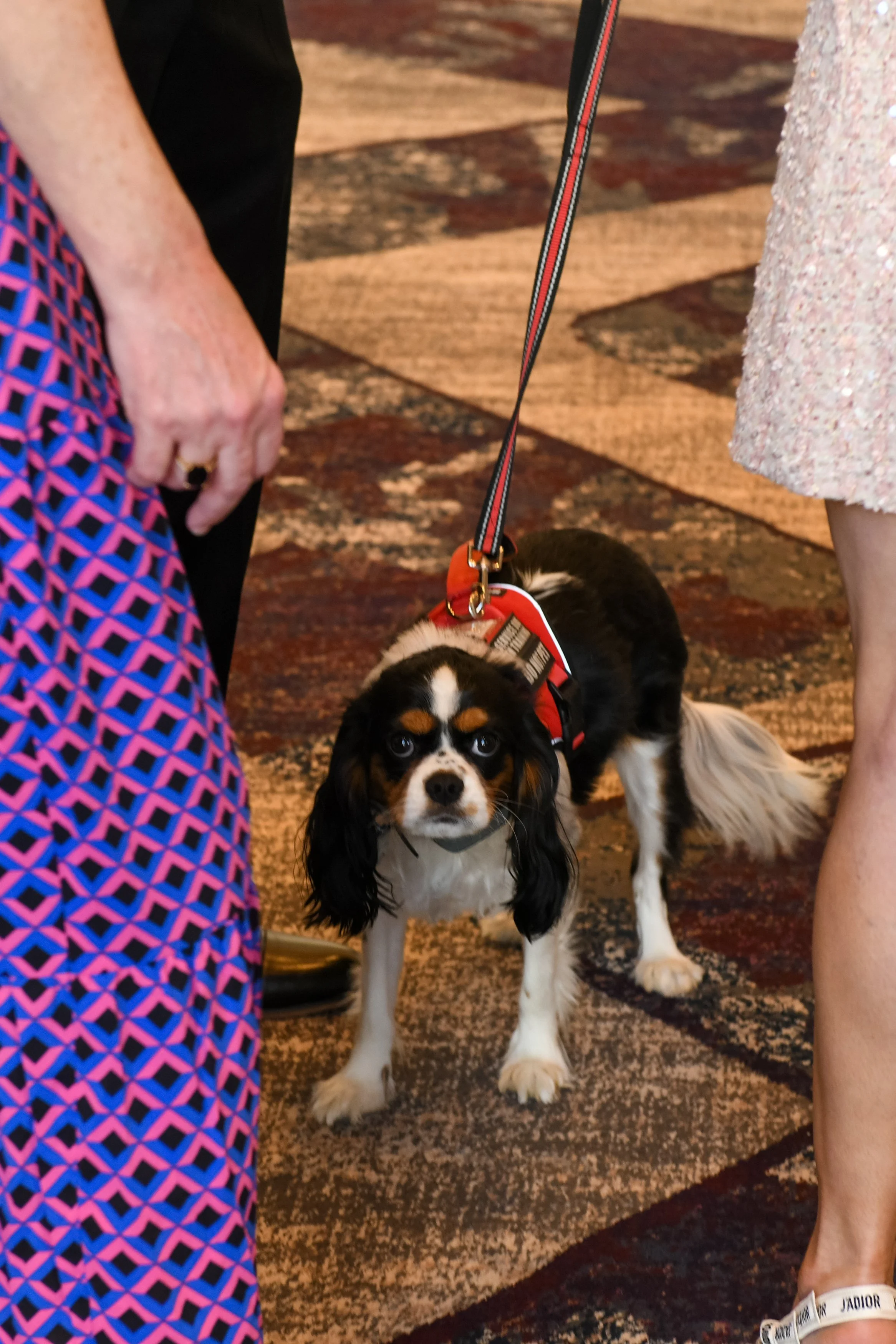 MSC_Fashion Show_2026128.jpg