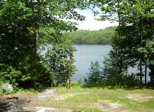 camp-cedar.jpg
