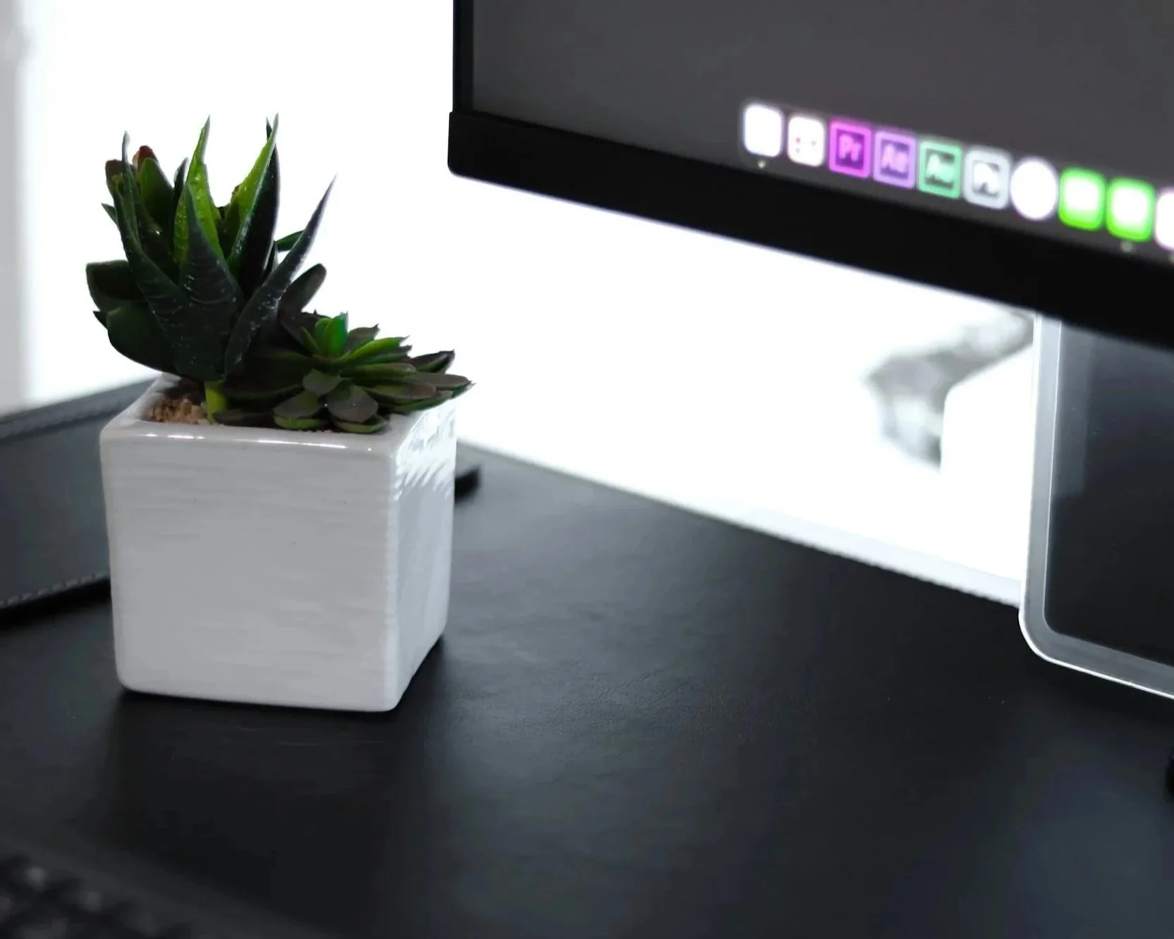 A house plant sits next to a marketing computer.