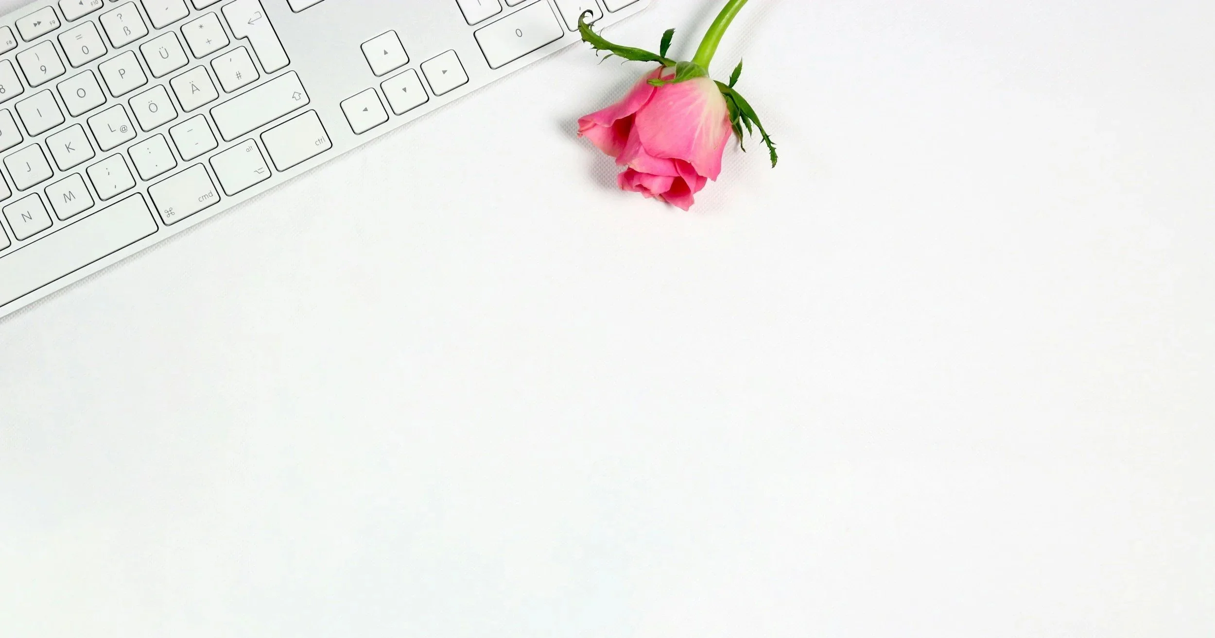 A rose sits next to a computer keyboard