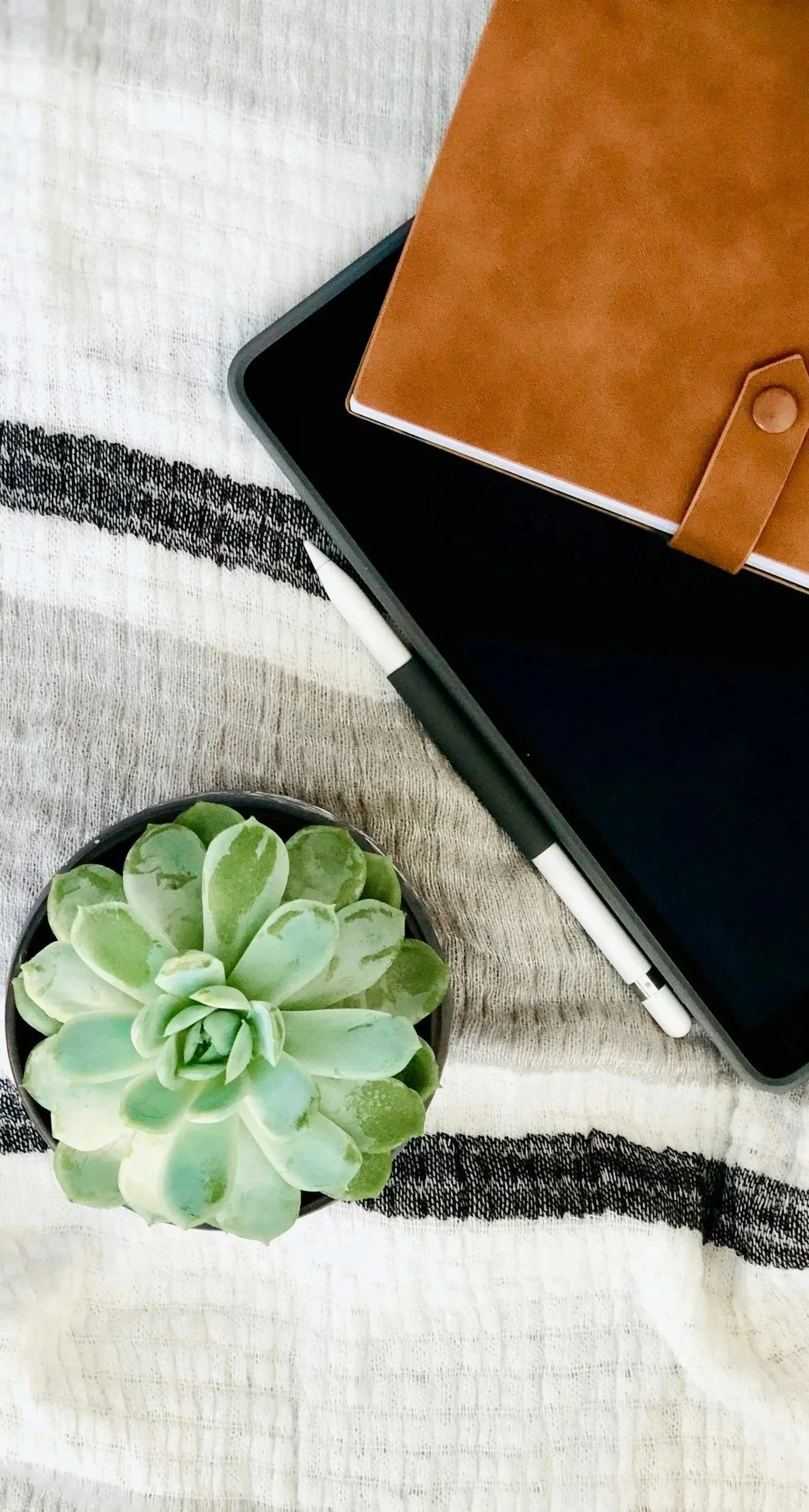 A notepad, iPad, plant, and pen