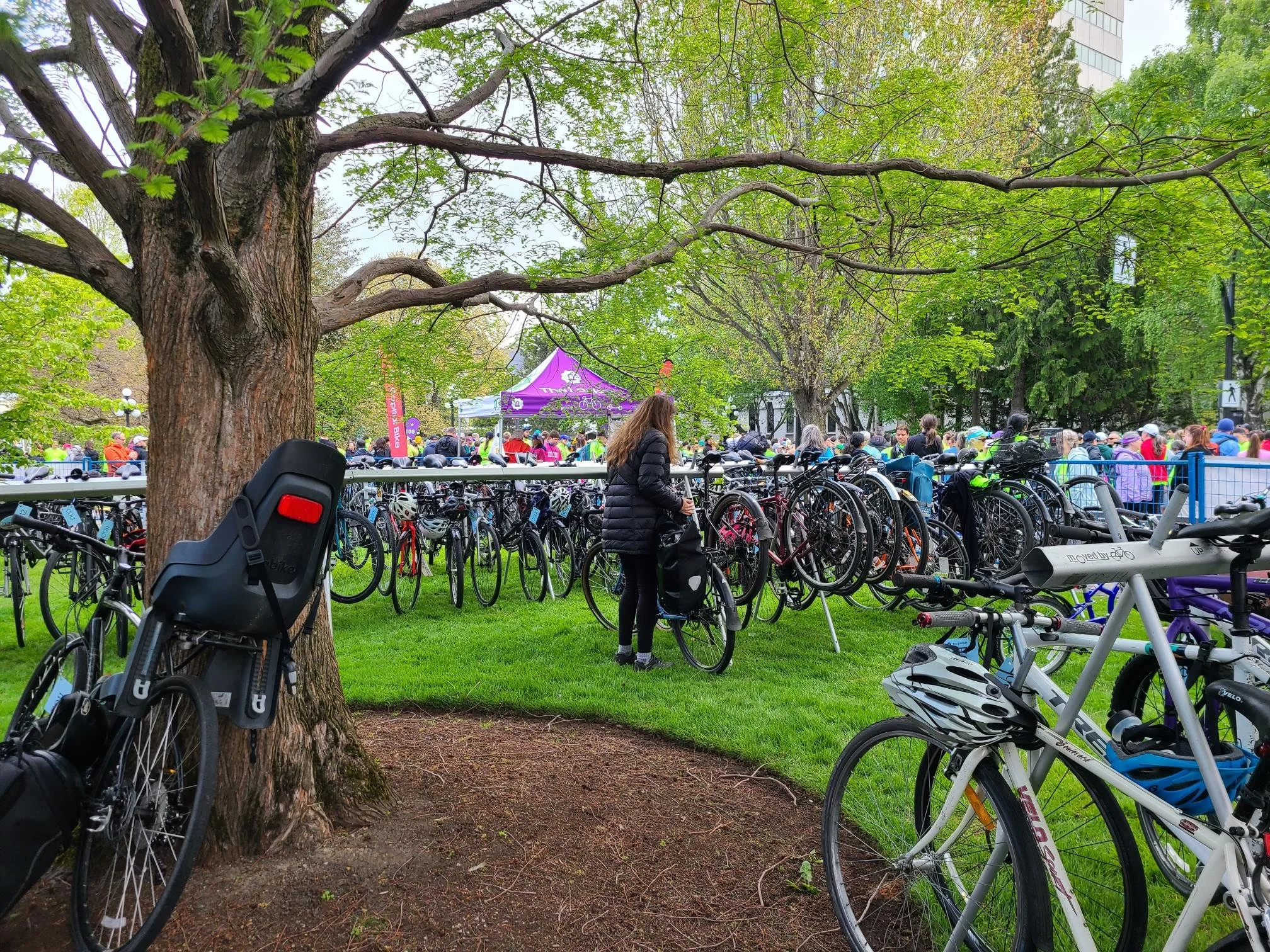 Capital Bike Enclosure.jpg