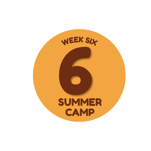 Week 6: July 20–24