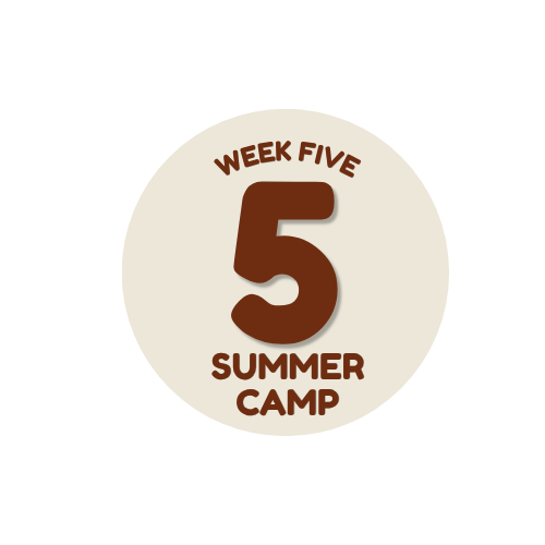 Week 5: July 13–17