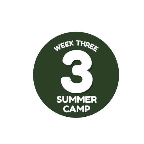 Week 3: June 29–July 3