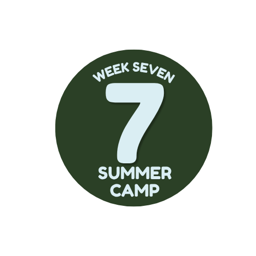 Week 7: July 27–31
