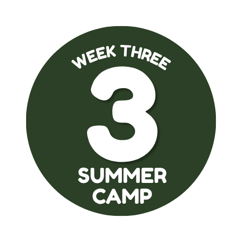 Week 3: June 29–July 3