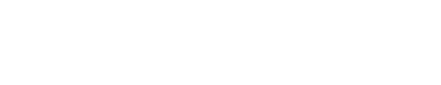 noellescaggs.com