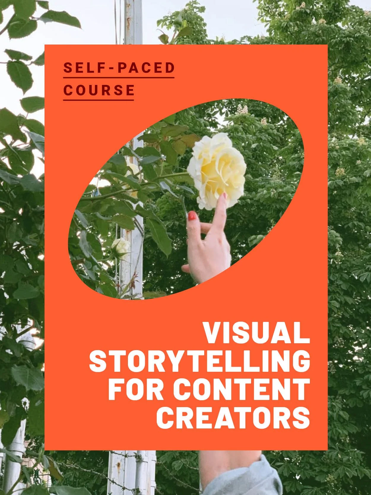 Visual Storytelling for Content Creators Who Aren't Designers (Self-Paced)