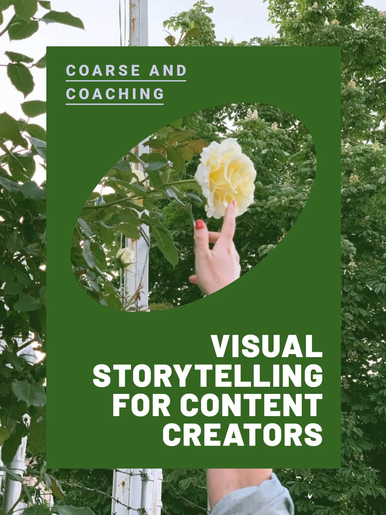 Visual Storytelling: With Feedback