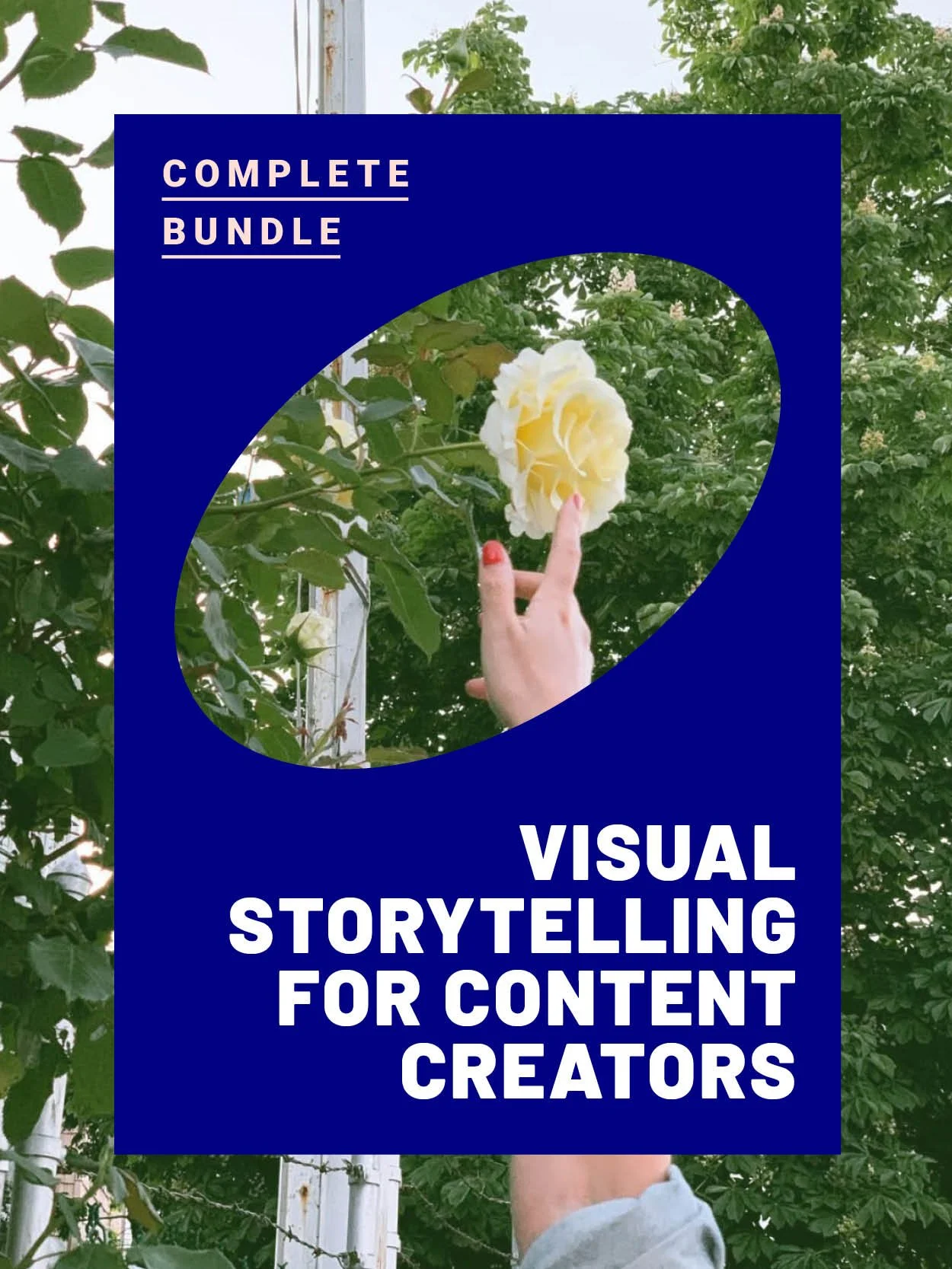 Visual Storytelling: Complete Collection