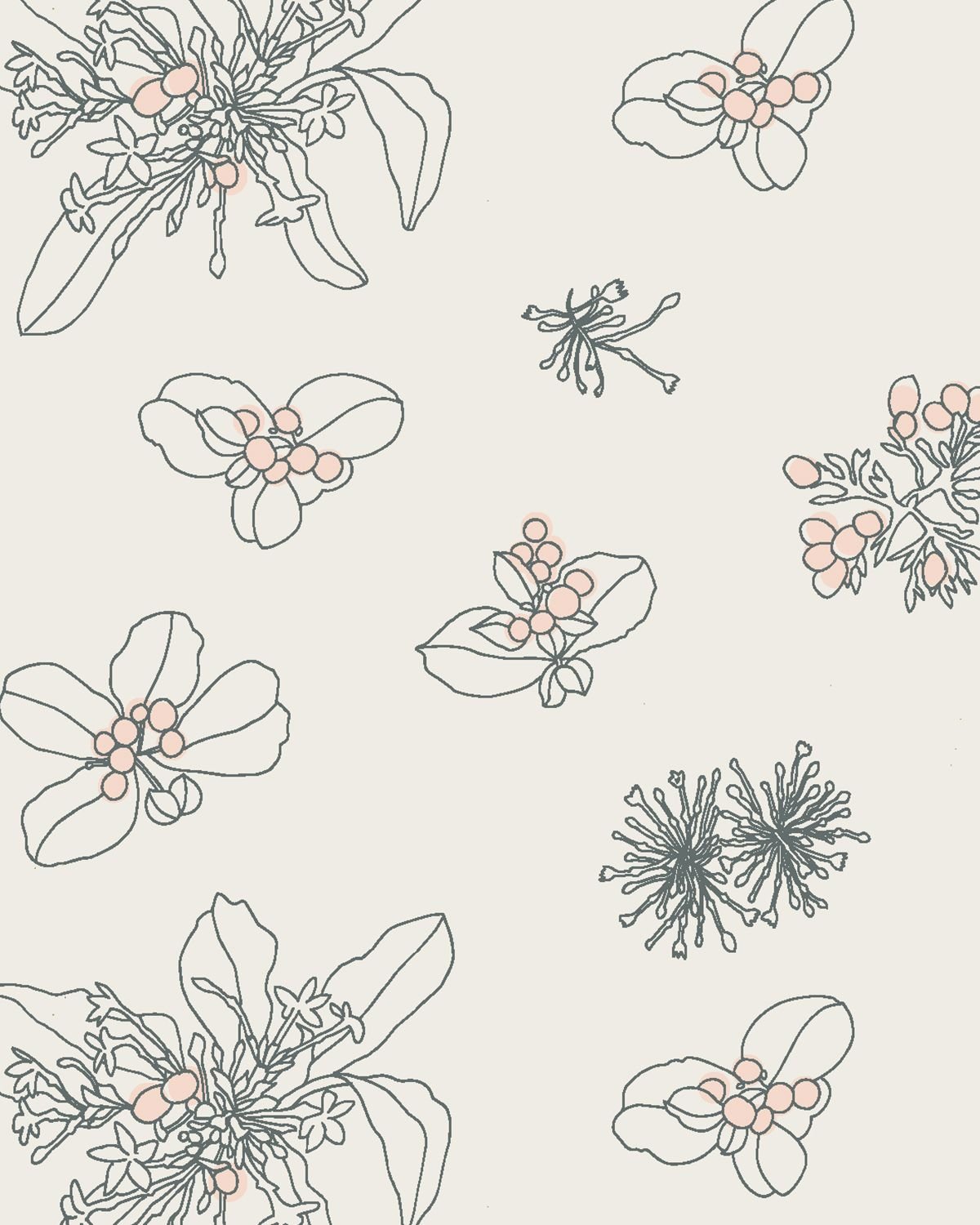 Scaled-down variation of the Bitter Remedy hero print - fine line rauvolfia flowers and peach berries scattered more loosely across a cream background.