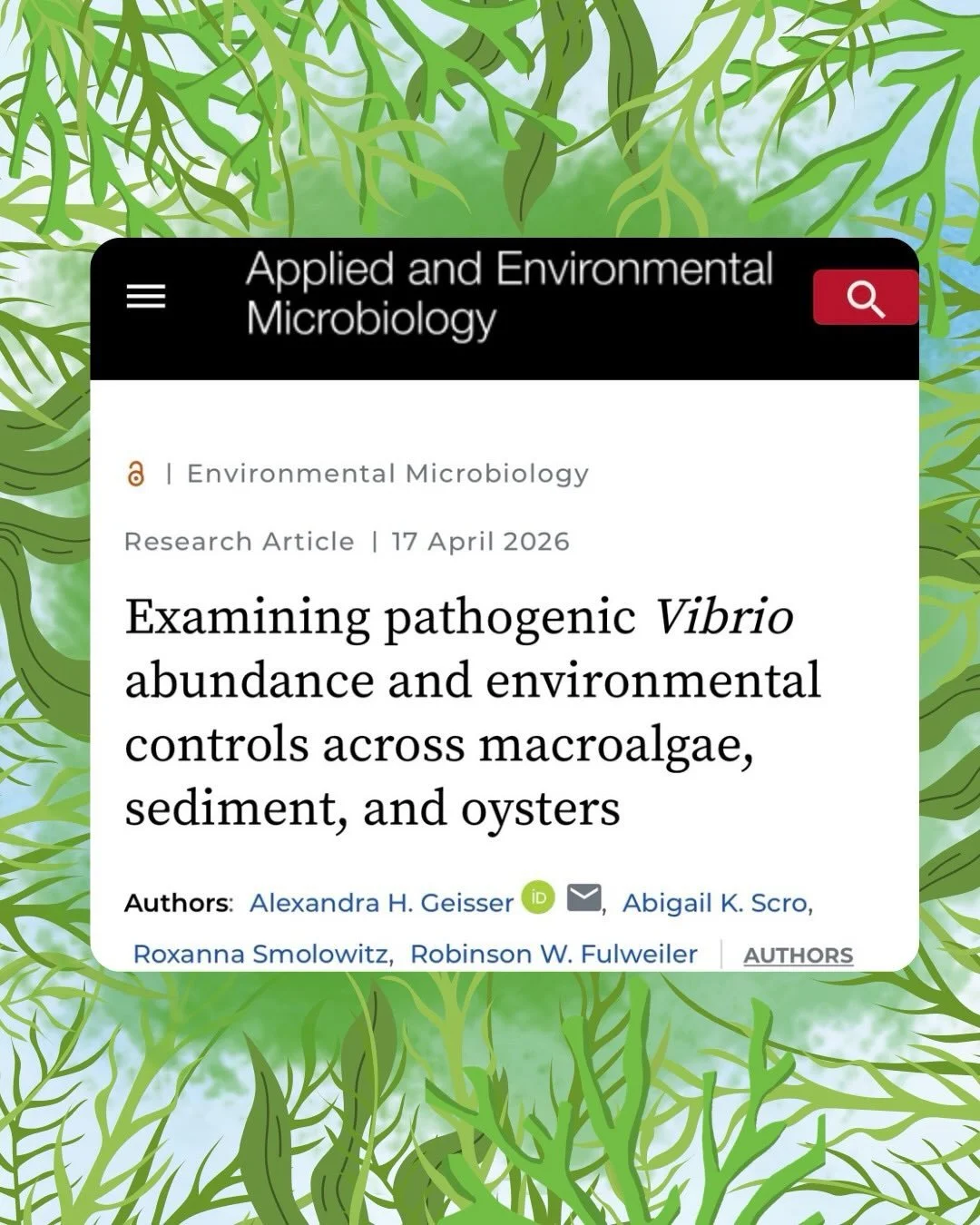 Congratulations to Dr. Alex Geisser for publishing her second dissertation chapter &ldquo;Examining pathogenic Vibrio abundance and environmental controls across macroalgae, sediment, and oysters&rdquo; in Applied and Environmental Microbiology! 🌊🦠