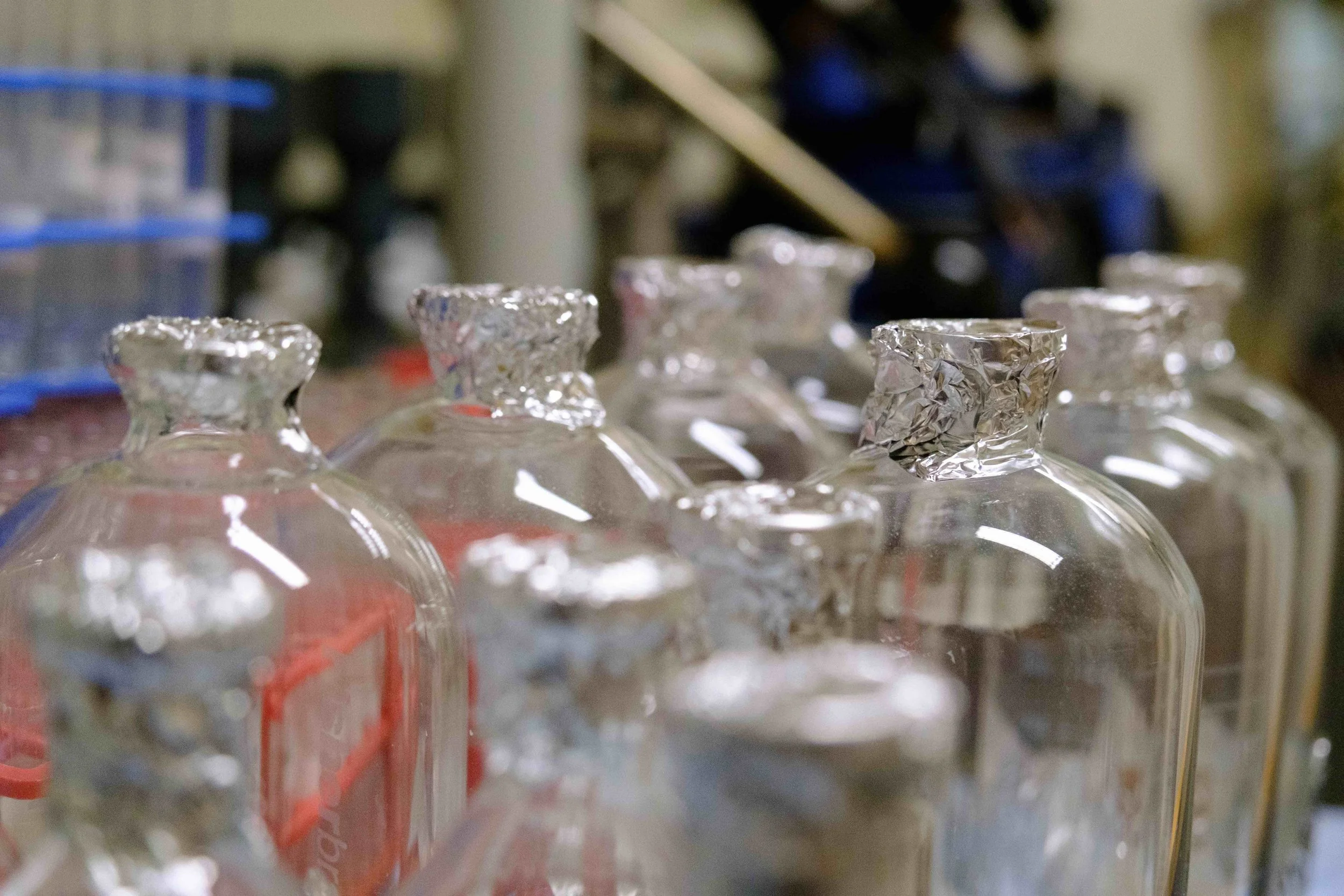 Multiple glass bottles with aluminum foil wrapped around their open necks are lined up on a work surface in what appears to be a workshop or lab setting.