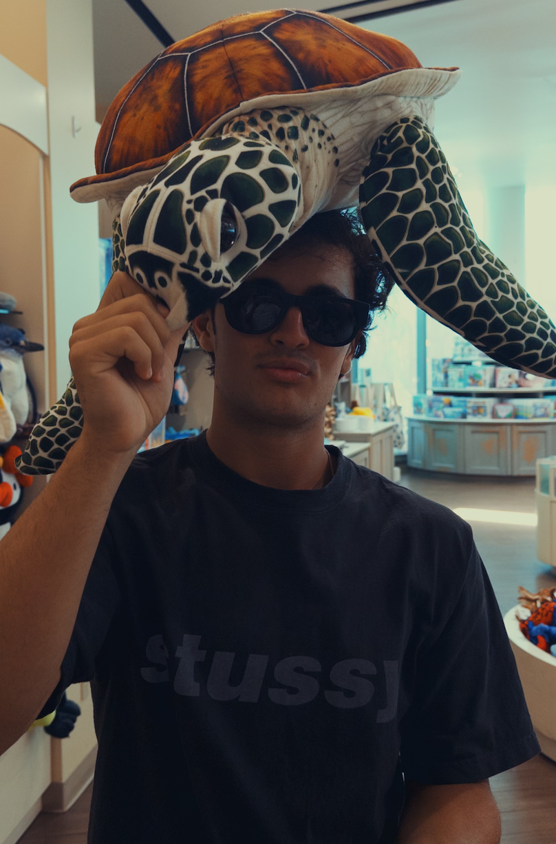 A man with dark curly hair, wearing sunglasses and a black T-shirt, holding a large plush turtle toy above his head inside a store.