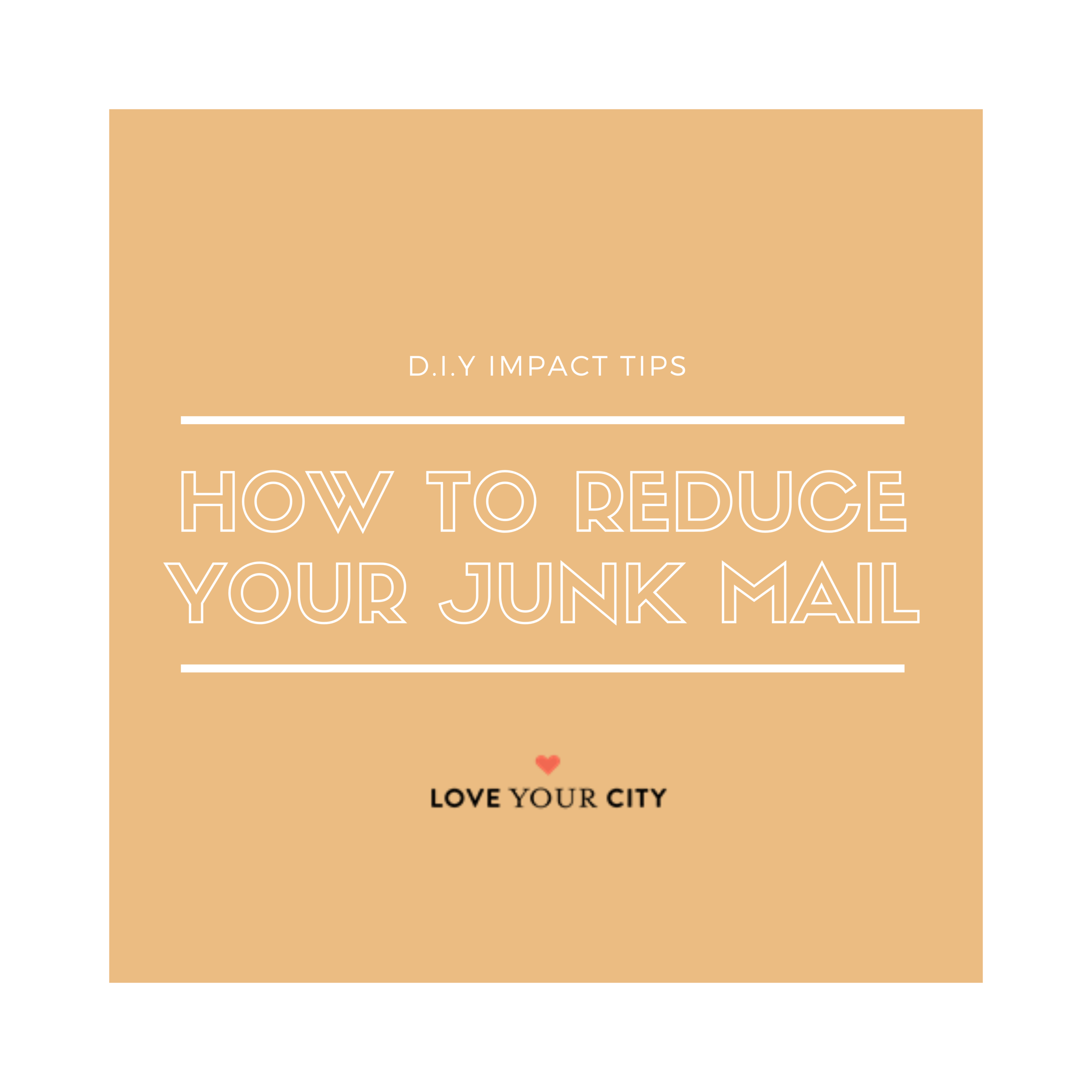 Do It Yourself Impact Tip -- Junk Mail