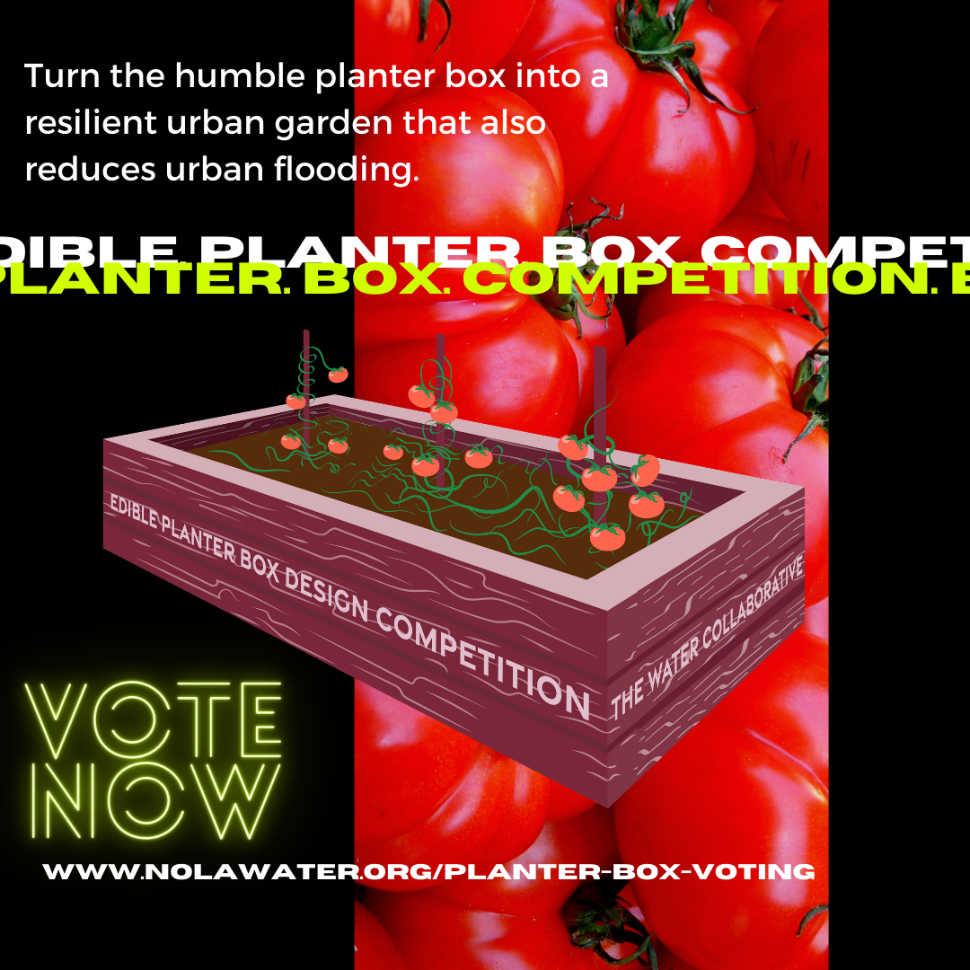 Edible Planter Box Competition by The Water Collaborative
