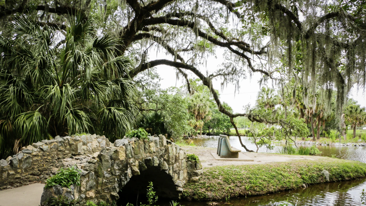 Discussing the Importance of Urban Reforestation in New Orleans