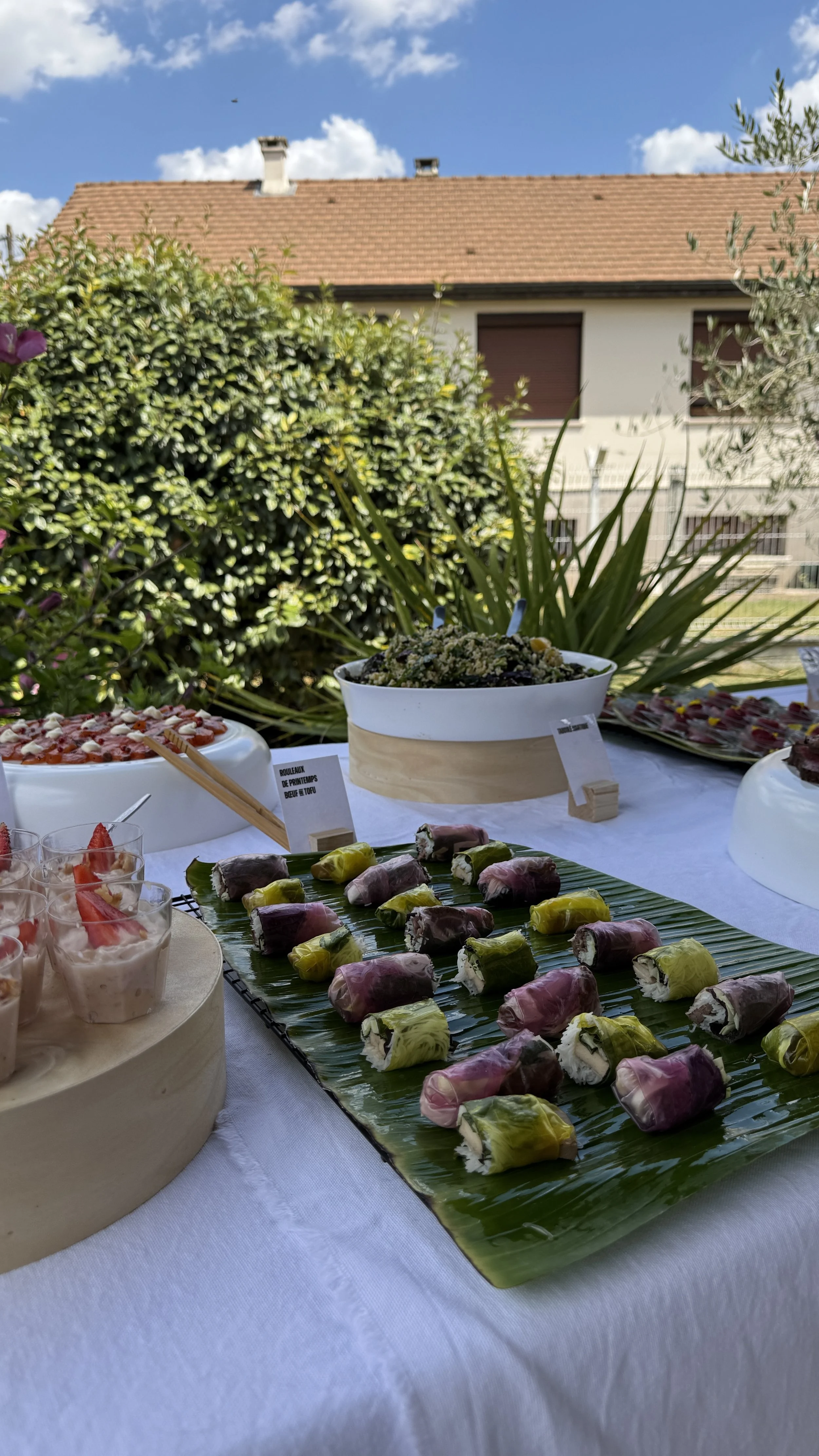 rouleaux-printemps-vietnamienne-traiteur-dijon.jpg