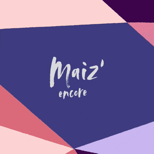 La Maison des jeunes de Fleurimont – La Maize!