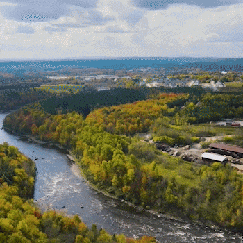 Fichiers de bois empilés sur une voie en extérieur, avec un logo TREDSI superposé. TREDSI est un OBNL qui vise à récupérer le bois en Estrie.