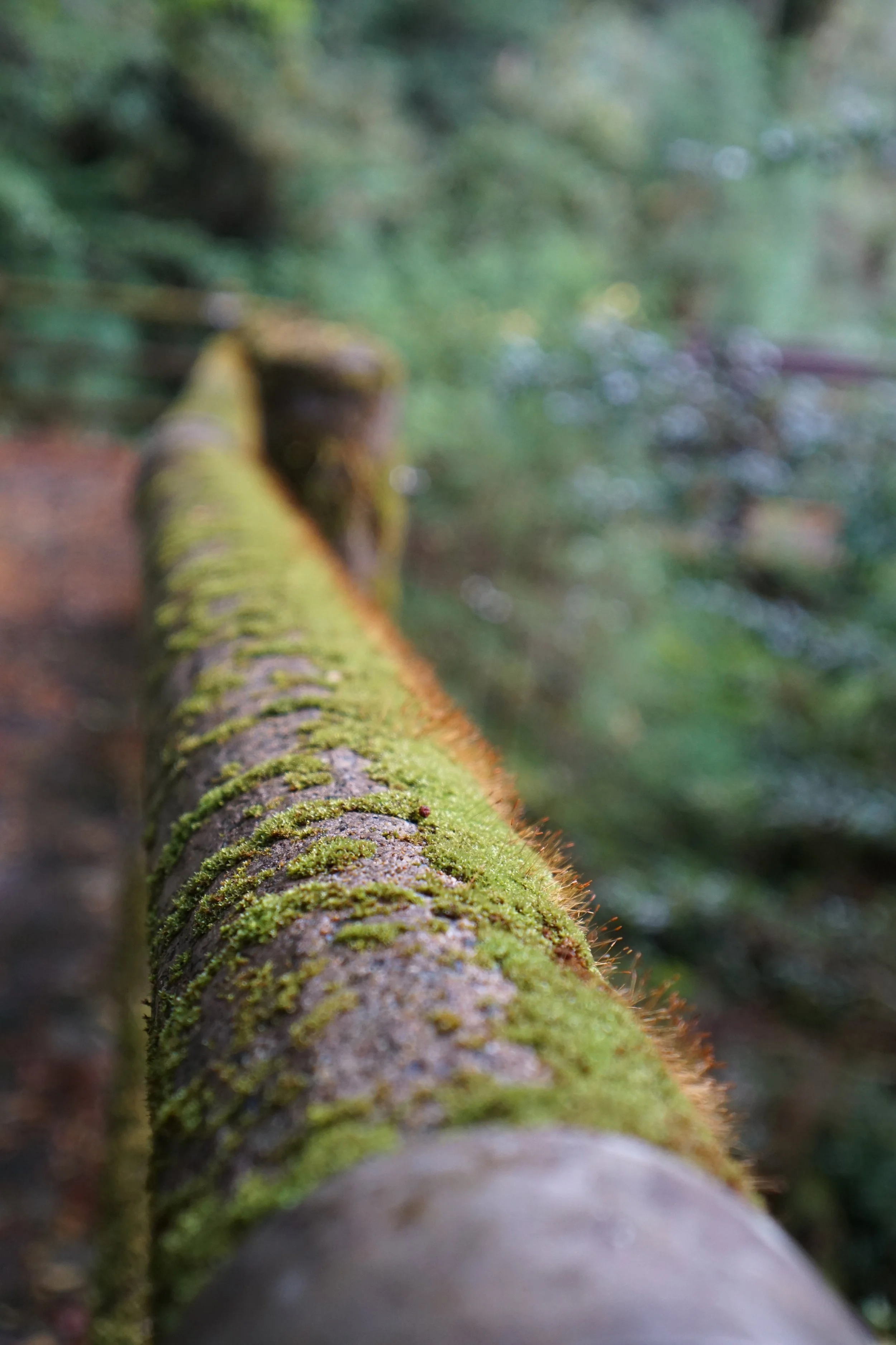 DSC03549.JPG