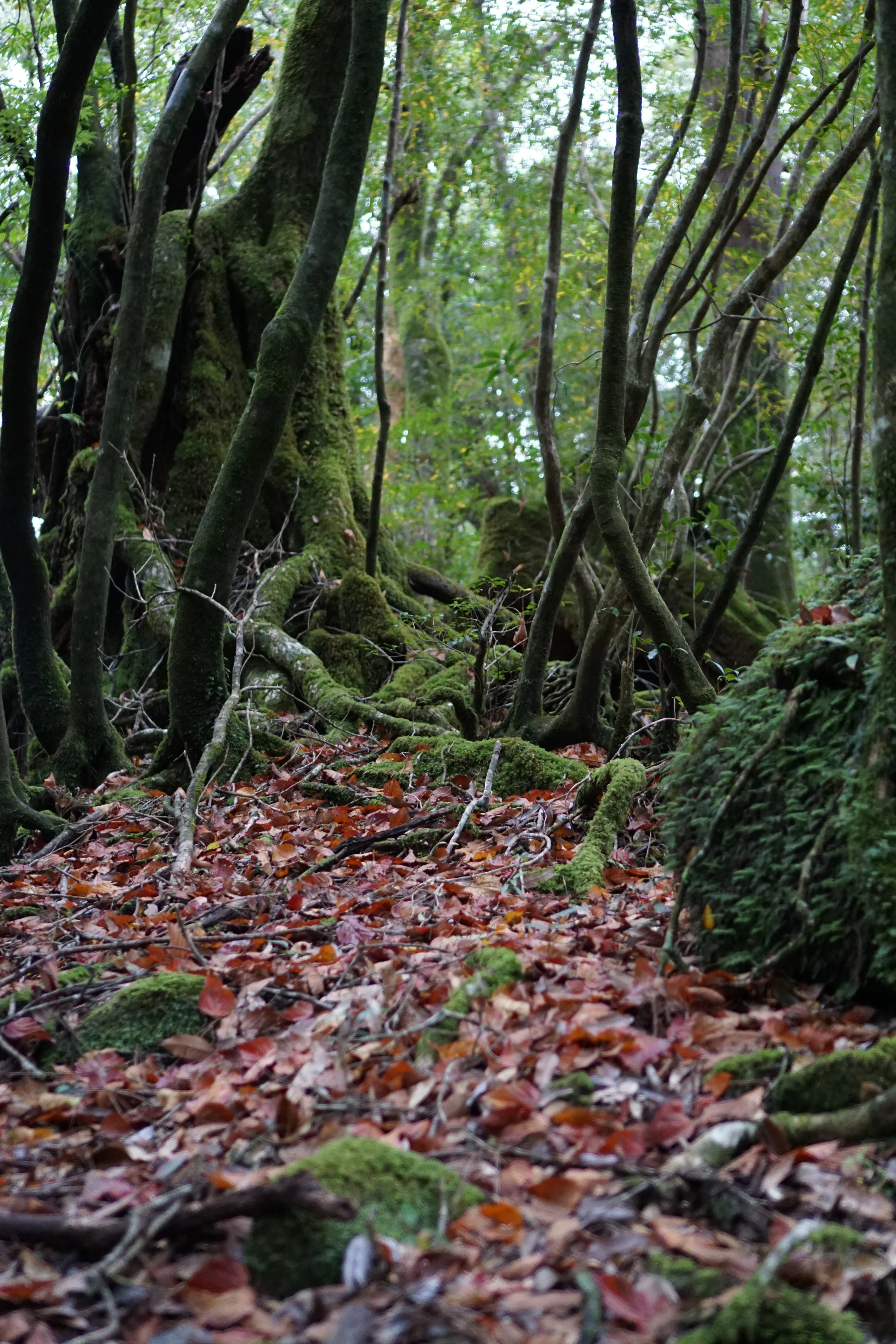 DSC03063.JPG