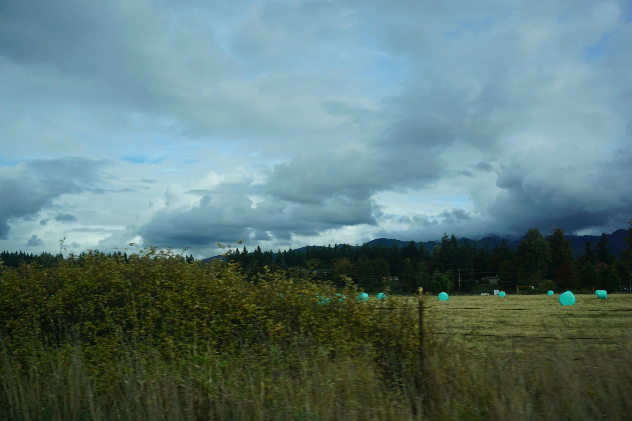 DSC07863.JPG