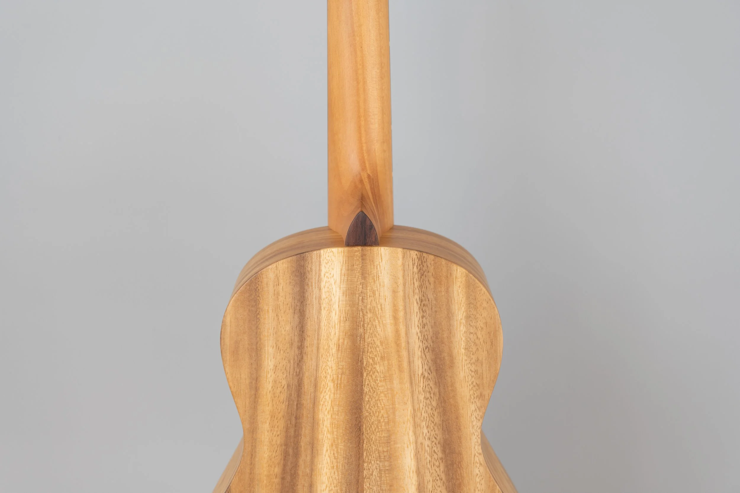 'Oli L1-BCAS-16.JPG