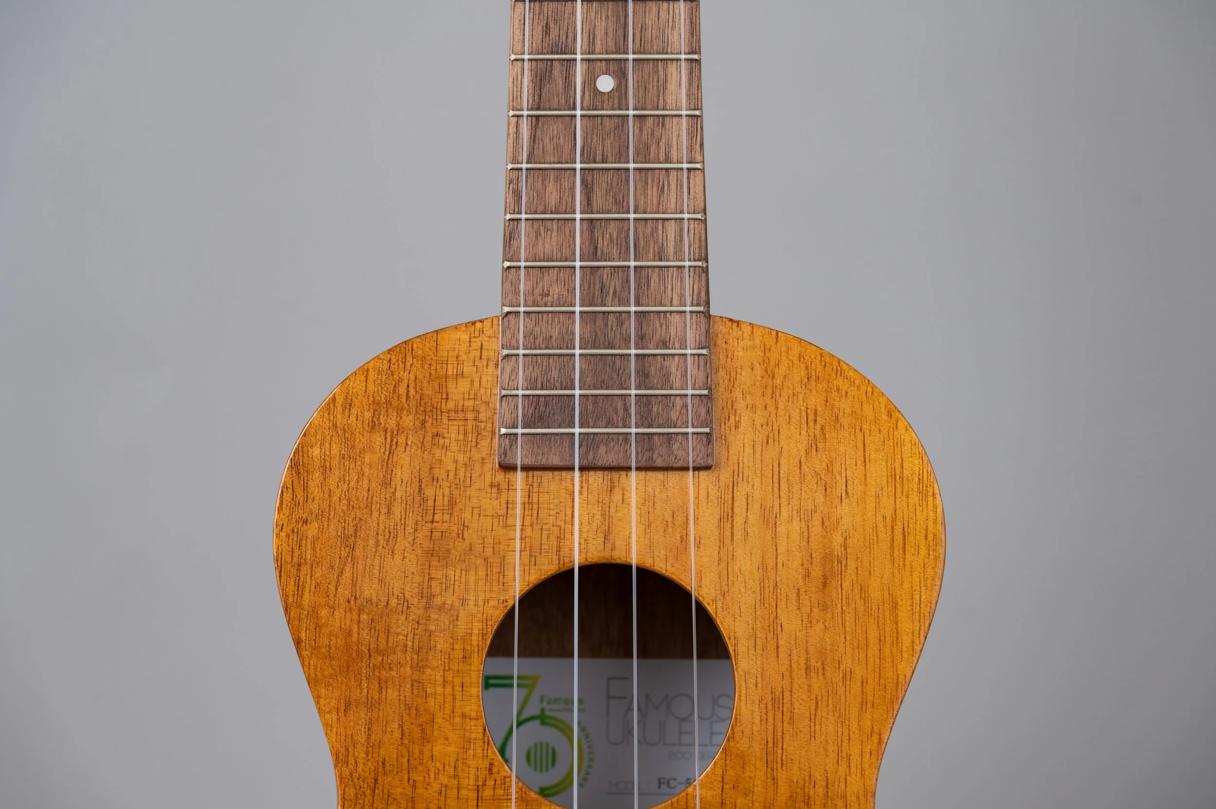 Famous FC-5G-2884.jpg