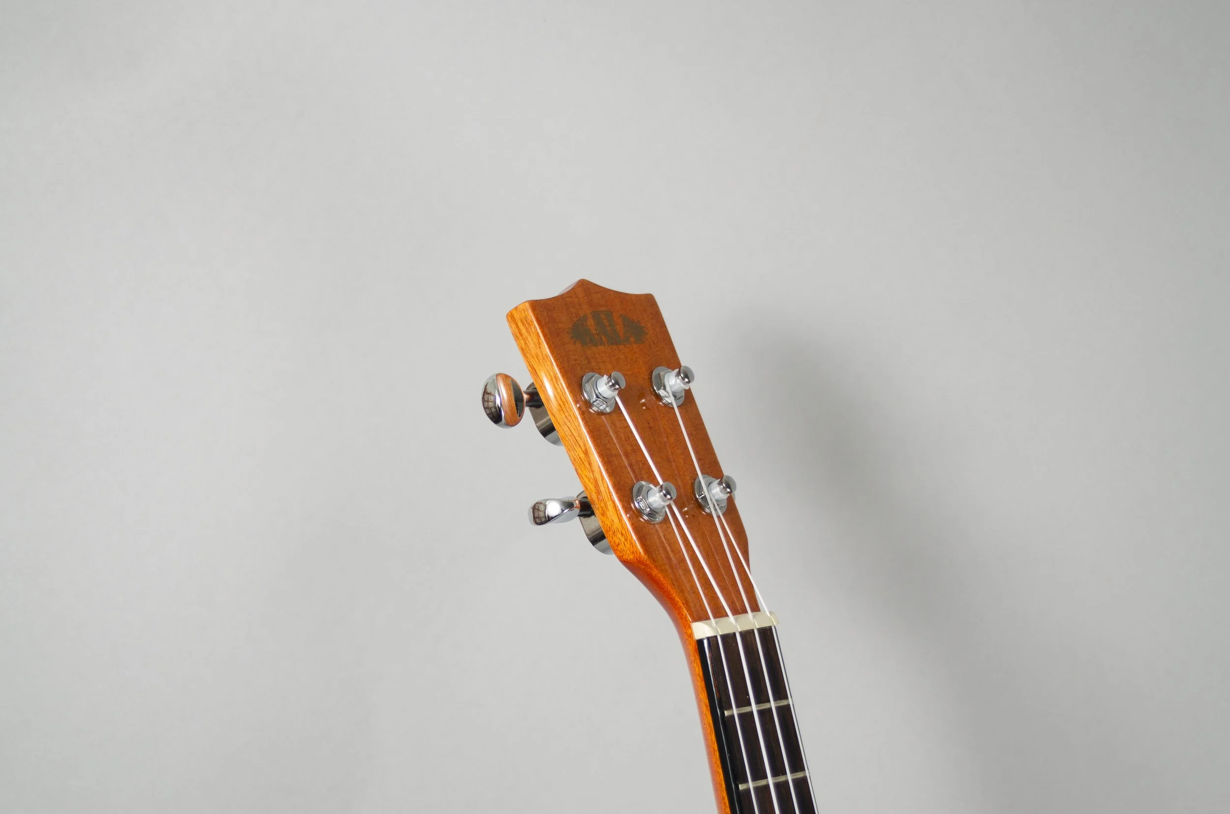 Kala KA-STG-29.jpg