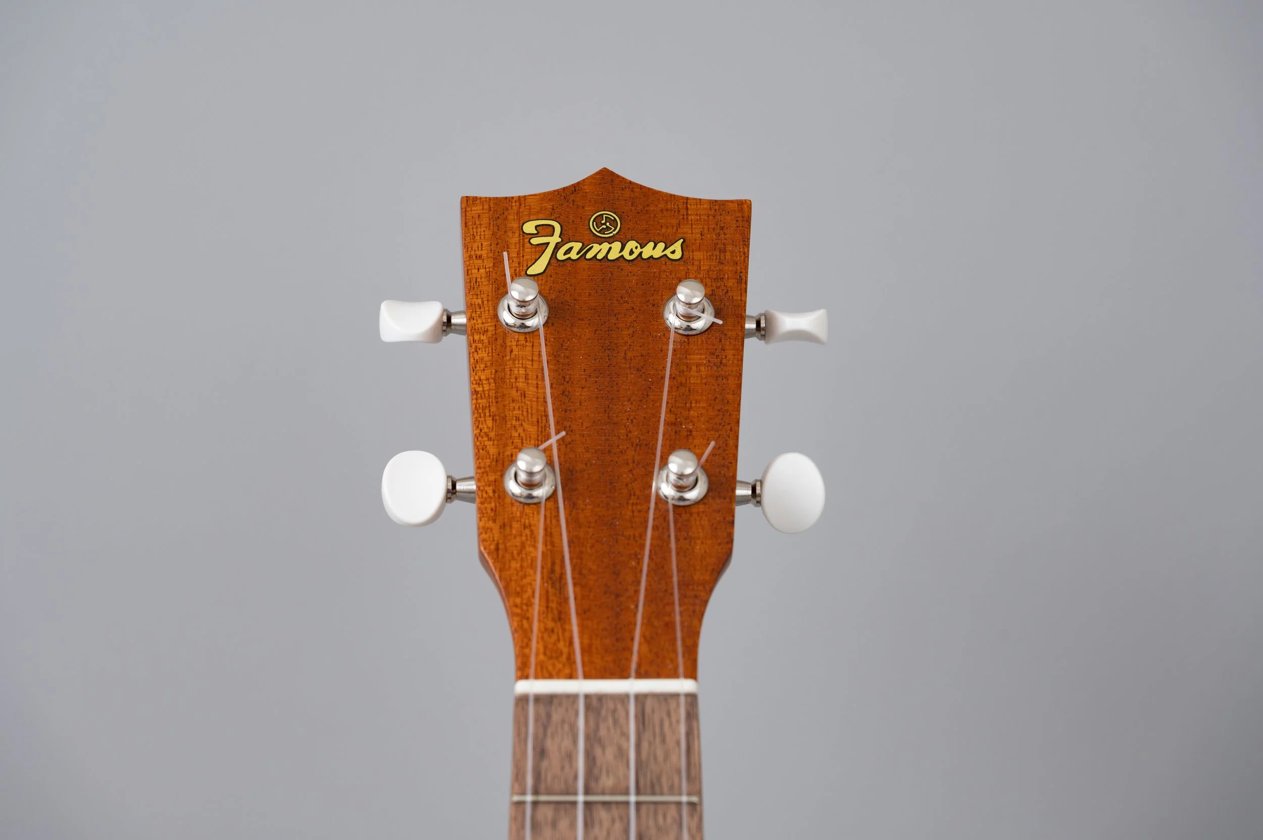 Famous FC-1G-2858.jpg