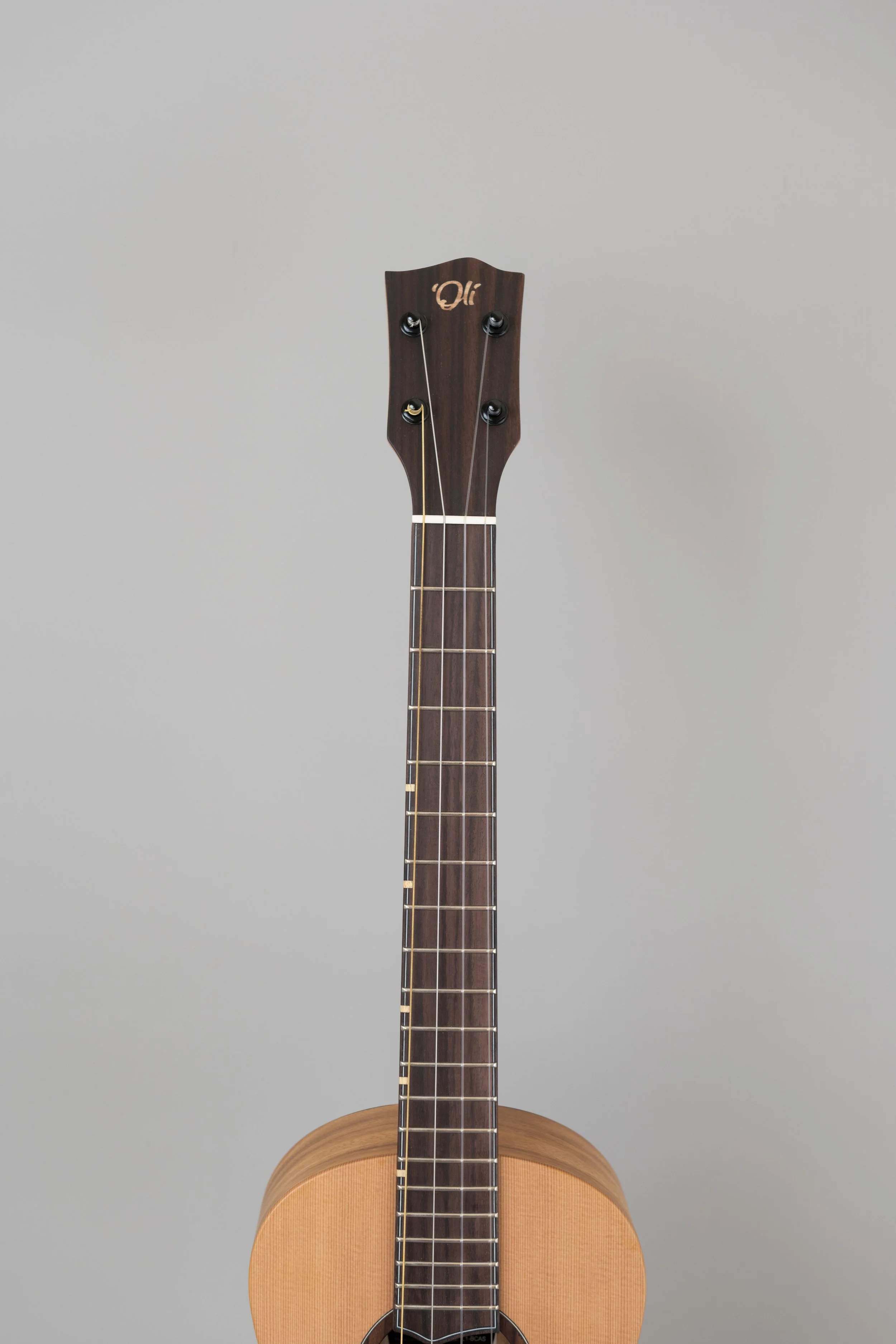 'Oli L1-BCAS-3.JPG