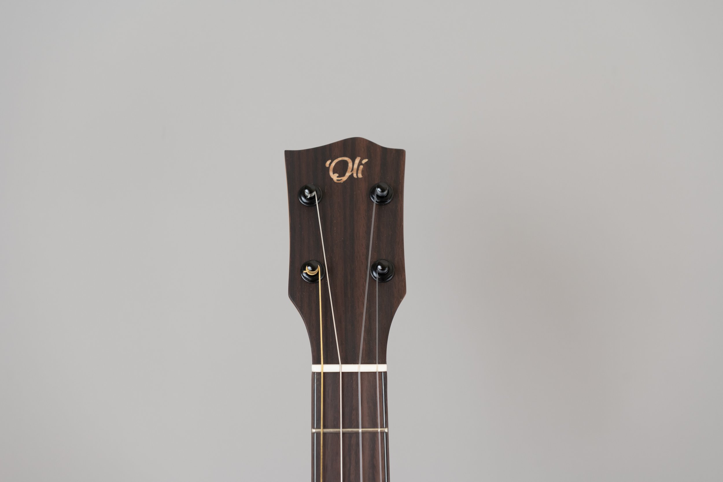 'Oli L1-BCAS-2.JPG