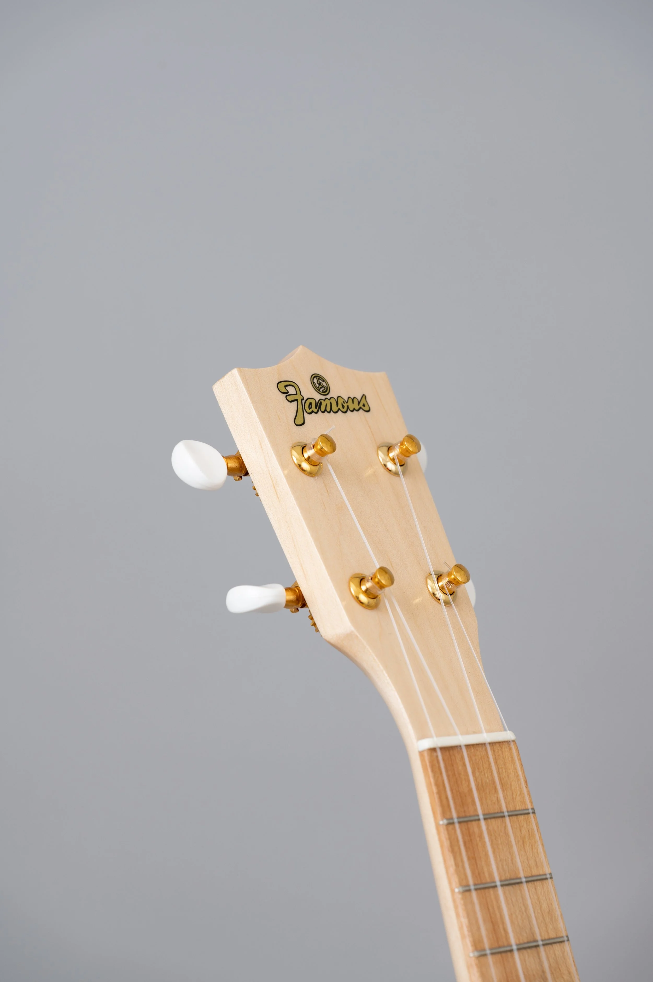 Famous FS-S10N-2735.jpg