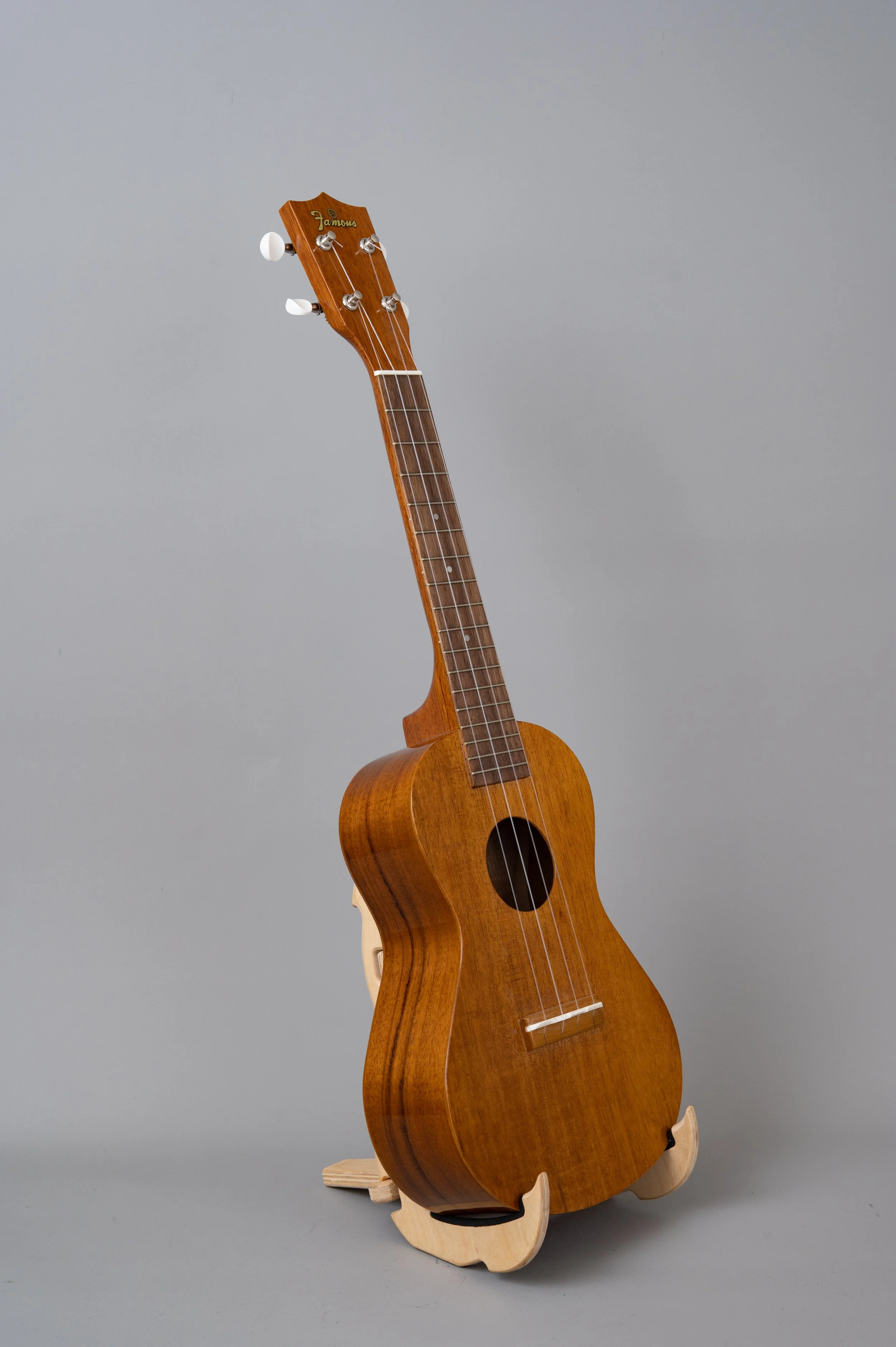 Famous FC-5G-2893.jpg